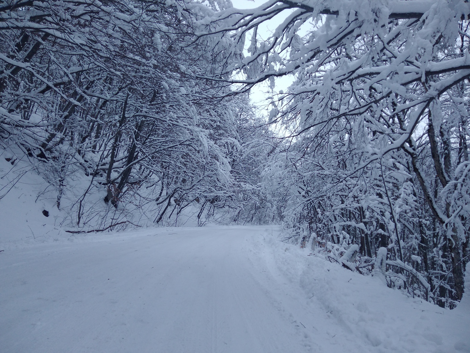 Crimean winter fairy tale and transport collapse - Ai-Petri, Crimea, Winter, , Black Sea, Summer tires, Longpost