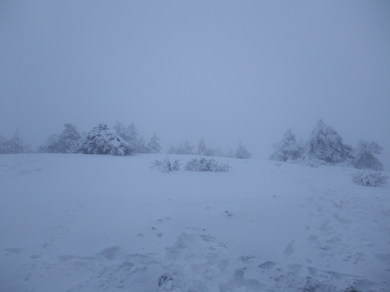 Crimean winter fairy tale and transport collapse - Ai-Petri, Crimea, Winter, , Black Sea, Summer tires, Longpost