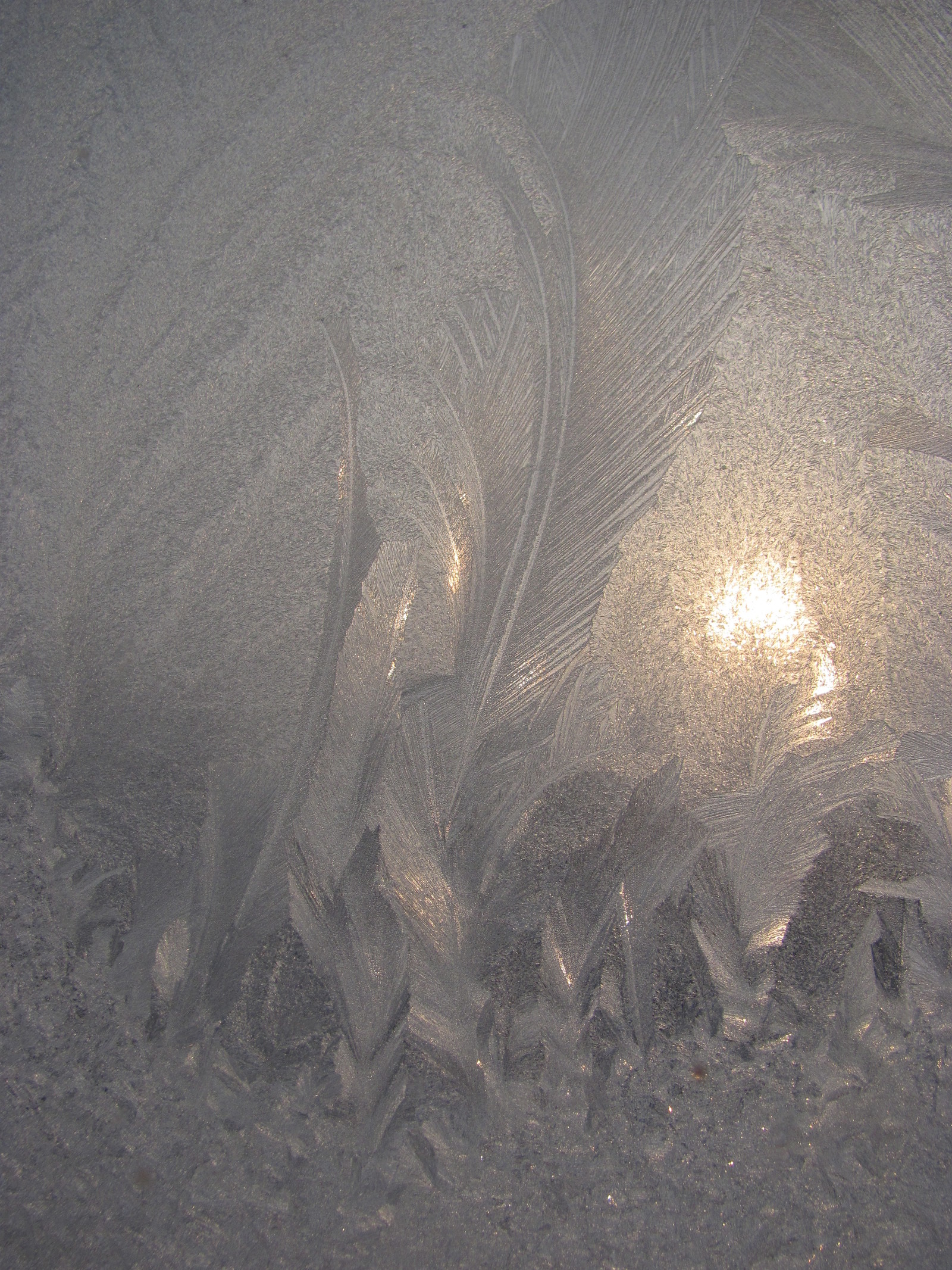 Frost patterns - My, Patterns on the window, Winter, , beauty of nature, Longpost