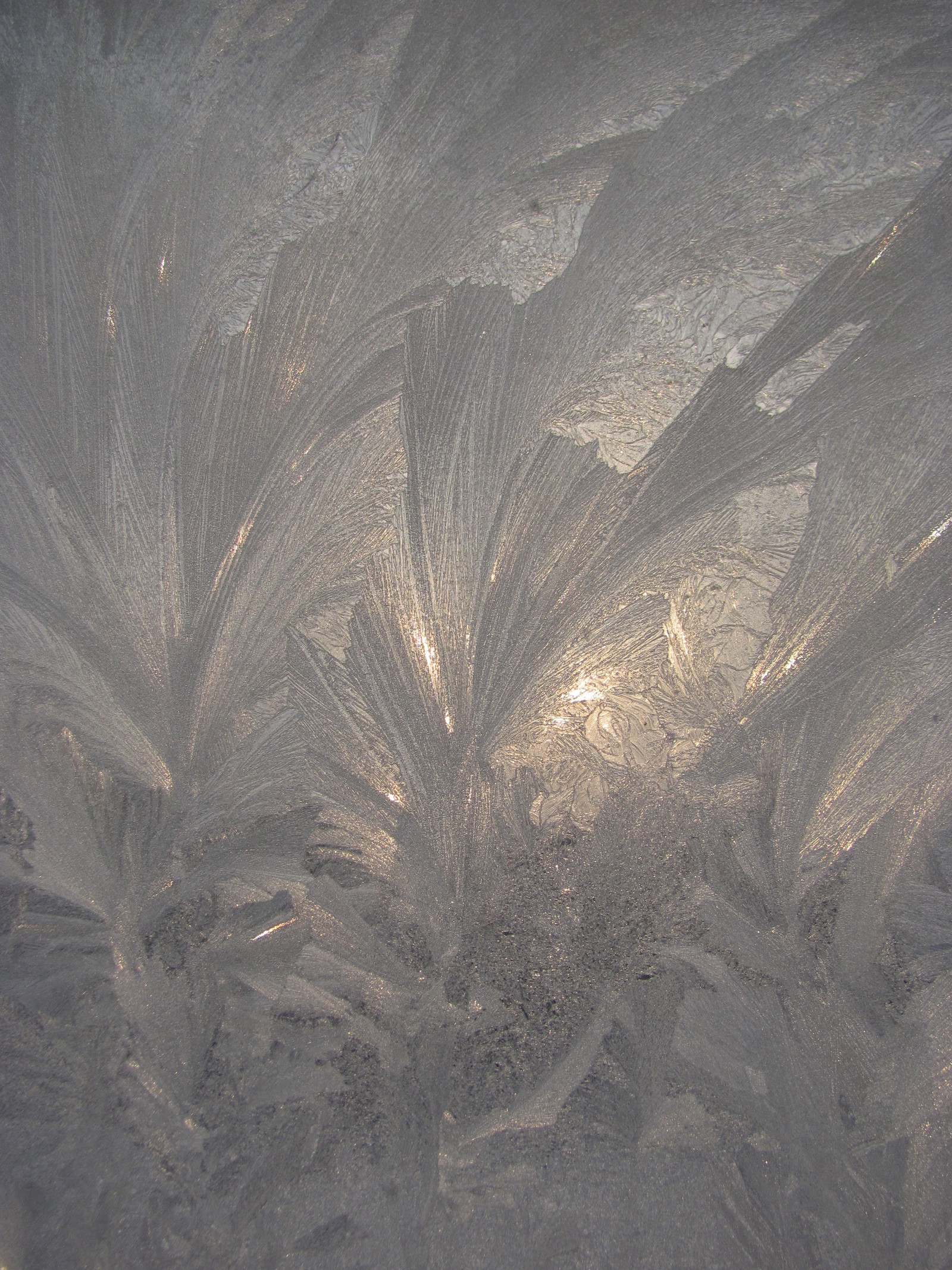 Frost patterns - My, Patterns on the window, Winter, , beauty of nature, Longpost