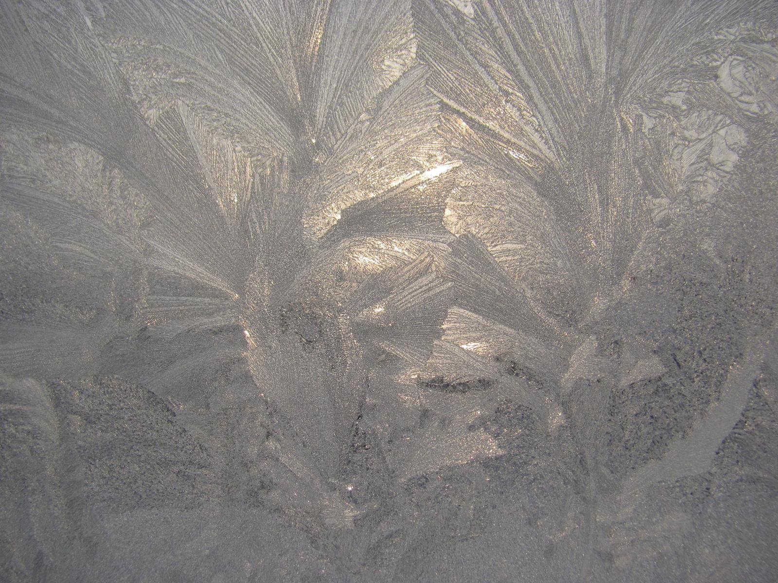 Frost patterns - My, Patterns on the window, Winter, , beauty of nature, Longpost