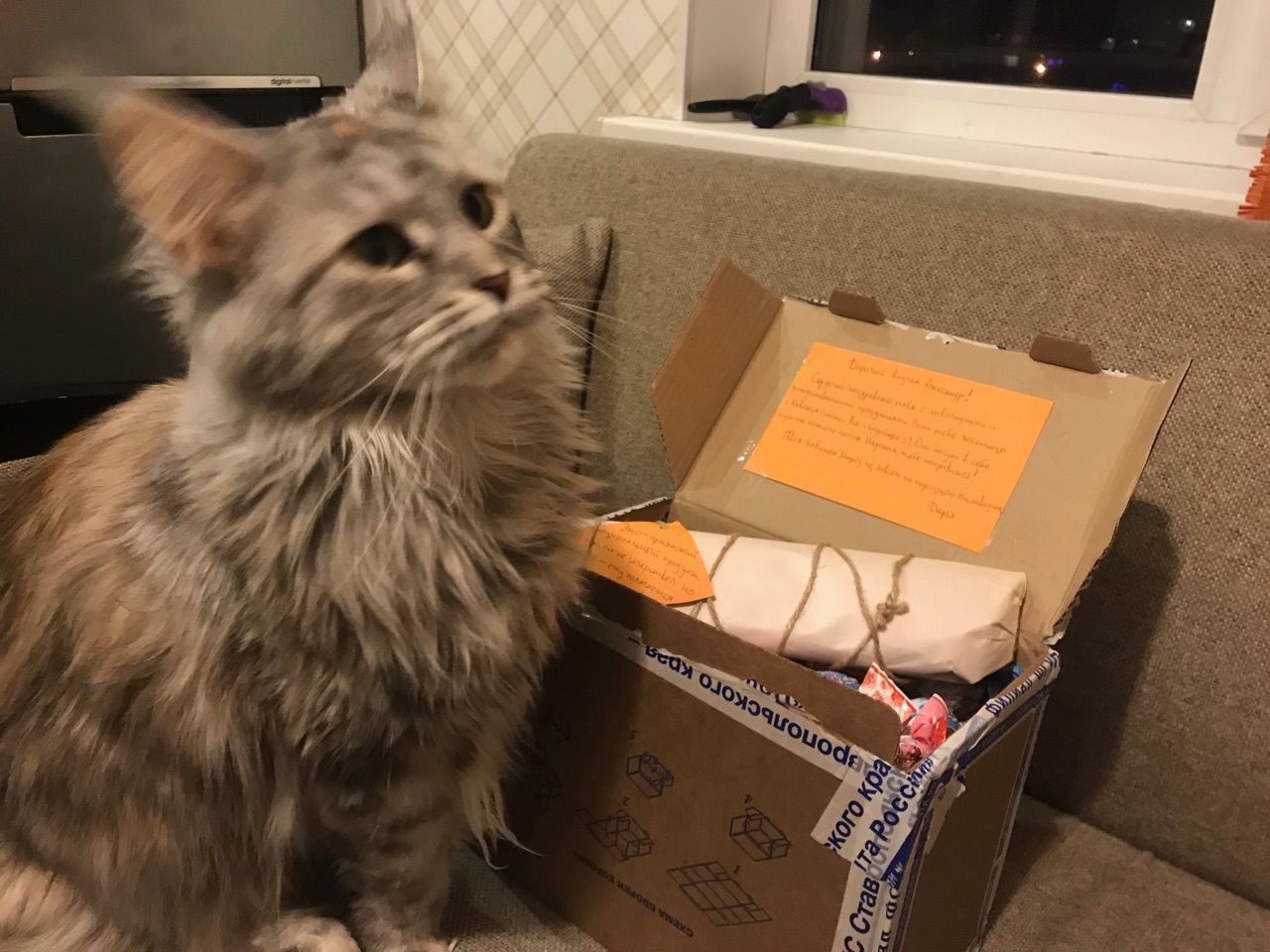 Anonymous Santa Claus. How I was pleasantly surprised - My, New Year's gift exchange, Gift exchange report, Secret Santa, Longpost, cat, Gift exchange