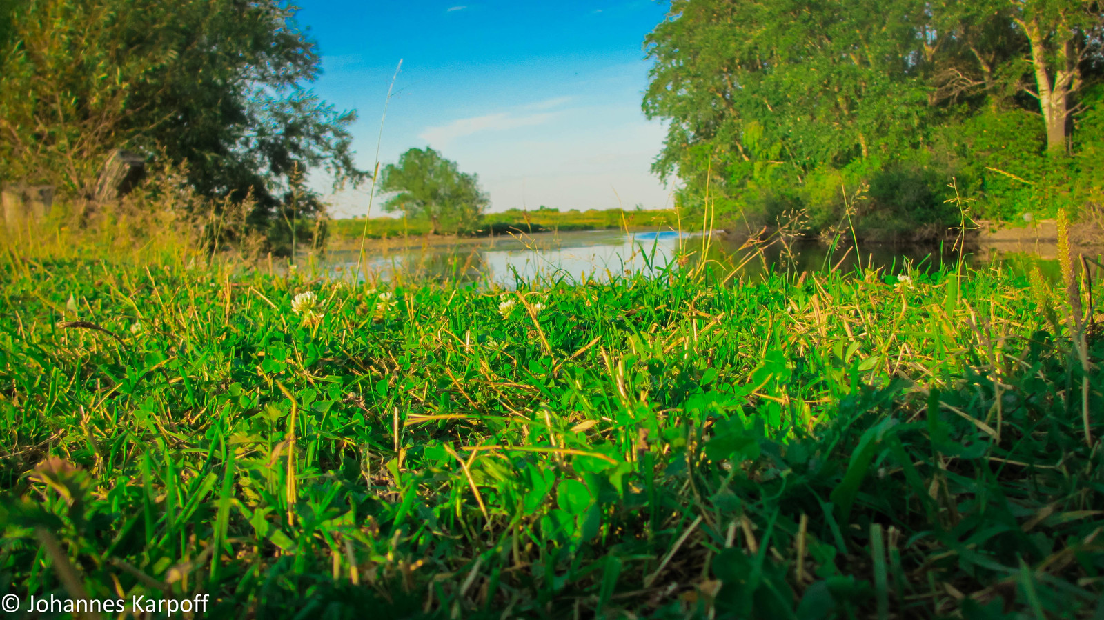 A little bit of summer in the feed. - My, Summer, Altai, Nature, Field, Nostalgia, Greenery, The photo, Longpost, Altai Republic