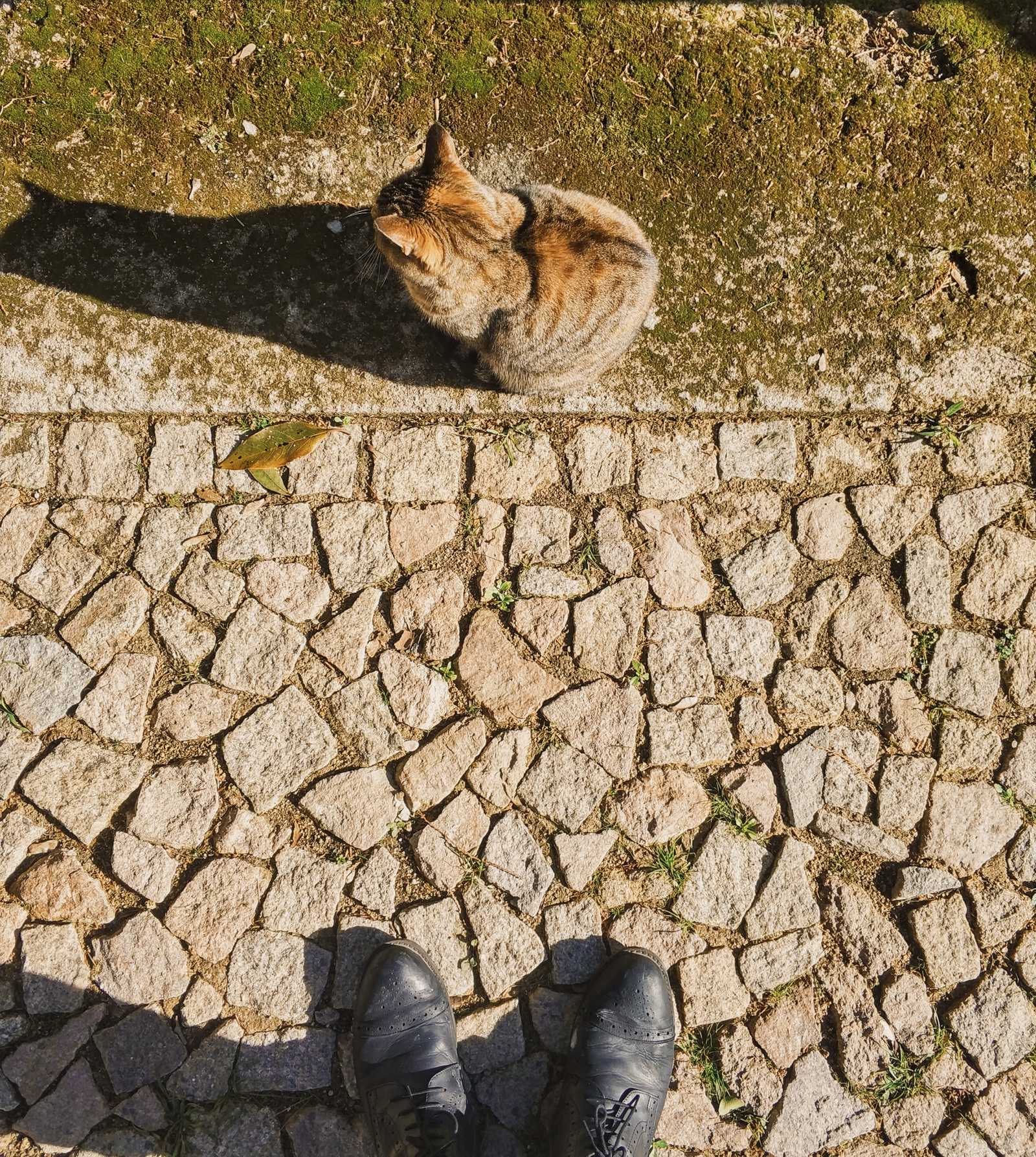 tourist footjob - My, Mobile photography, Tourism, Foot fetish, Xiaomi, Beginning photographer, Longpost