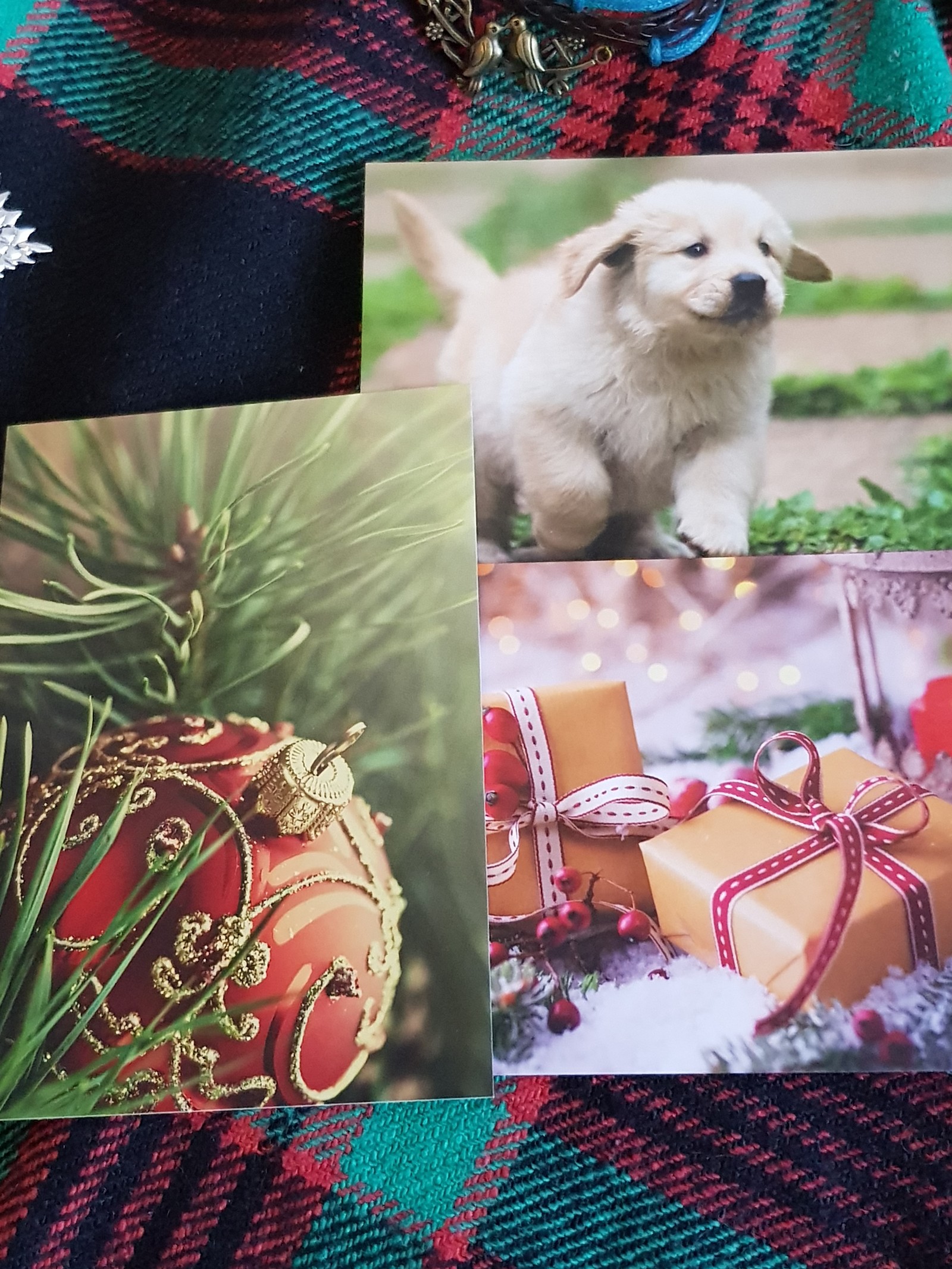 ADM Moscow - Tambov - My, Gift exchange, Longpost, Secret Santa, New Year's gift exchange, Shiba Inu, Gift exchange report