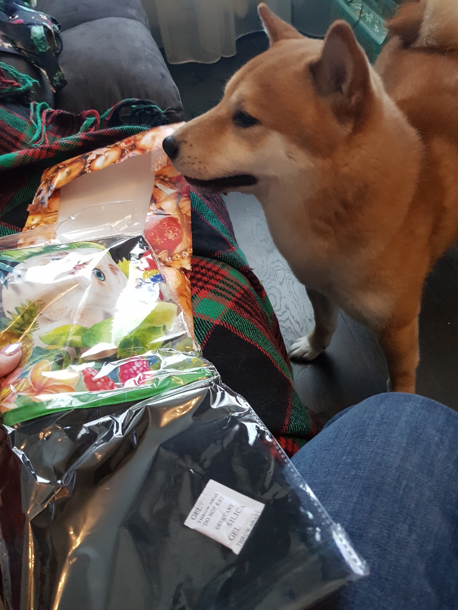 ADM Moscow - Tambov - My, Gift exchange, Longpost, Secret Santa, New Year's gift exchange, Shiba Inu, Gift exchange report