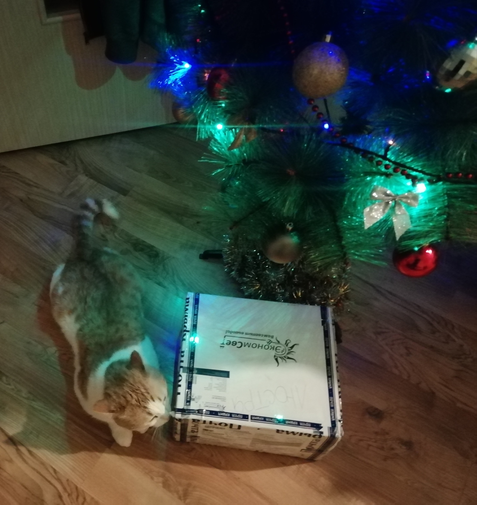 ADM from Sevastopol to Chelyabinsk! - My, Gift exchange report, Secret Santa, Gift exchange, New Year's gift exchange, Longpost