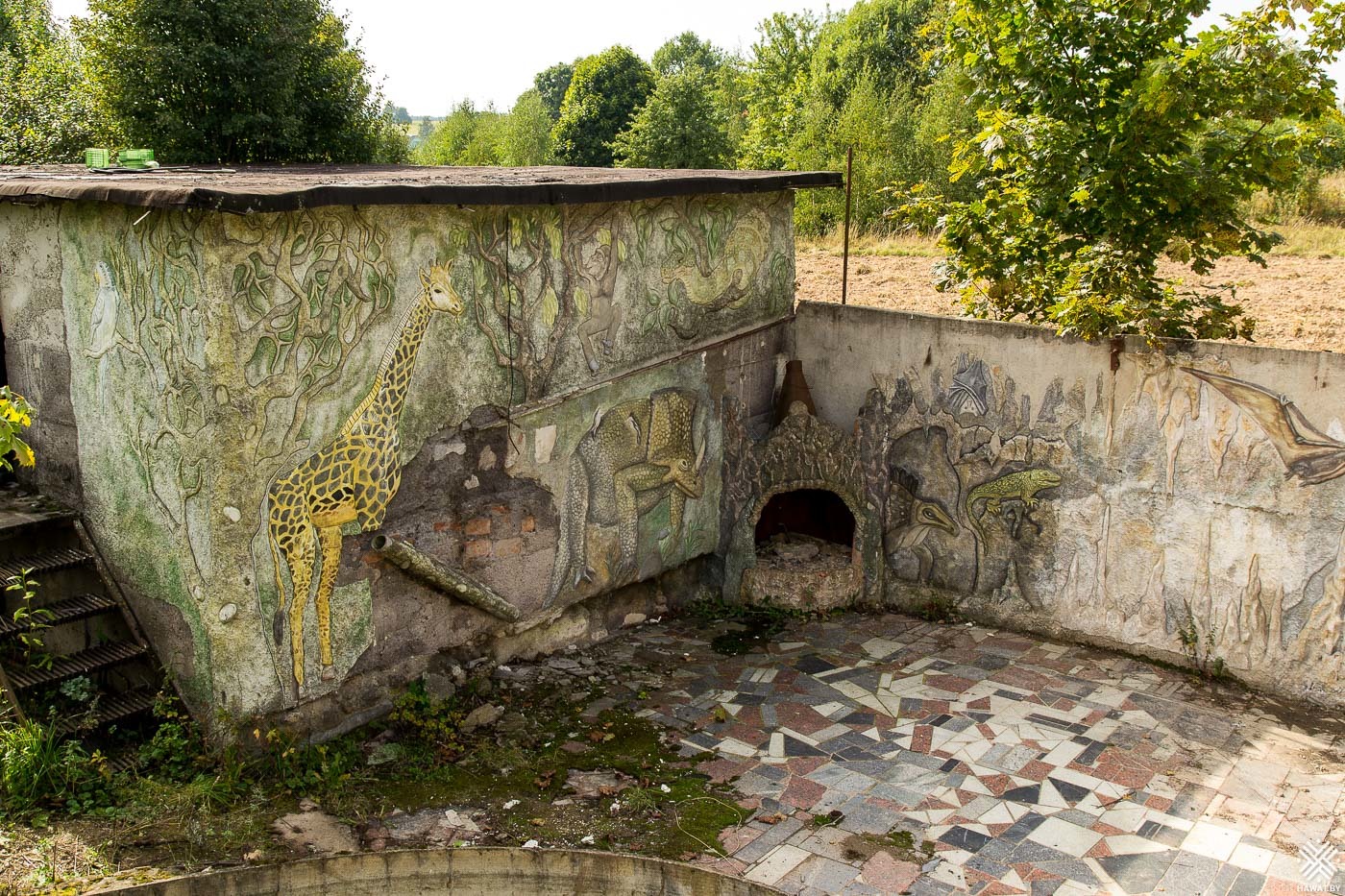 Abandoned cottage of the inventor. - My, Abandoned, Abandoned house, Unusual, Republic of Belarus, Longpost