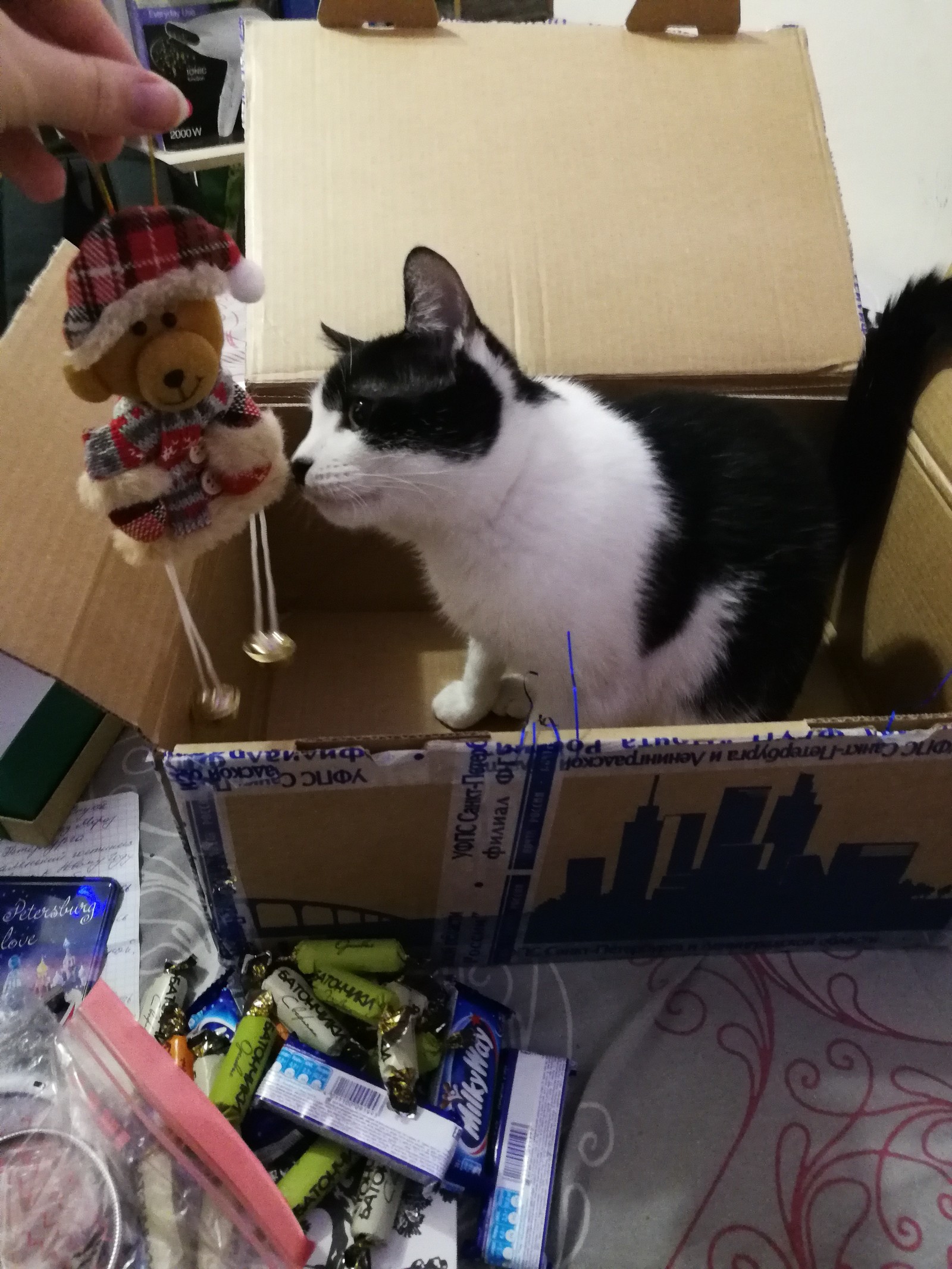 My little happiness: Exchange ADM Kolpino - Minsk ^_^ - My, Gift exchange report, Gift exchange, Magic, Longpost, Father Frost, Kolpino, Secret Santa