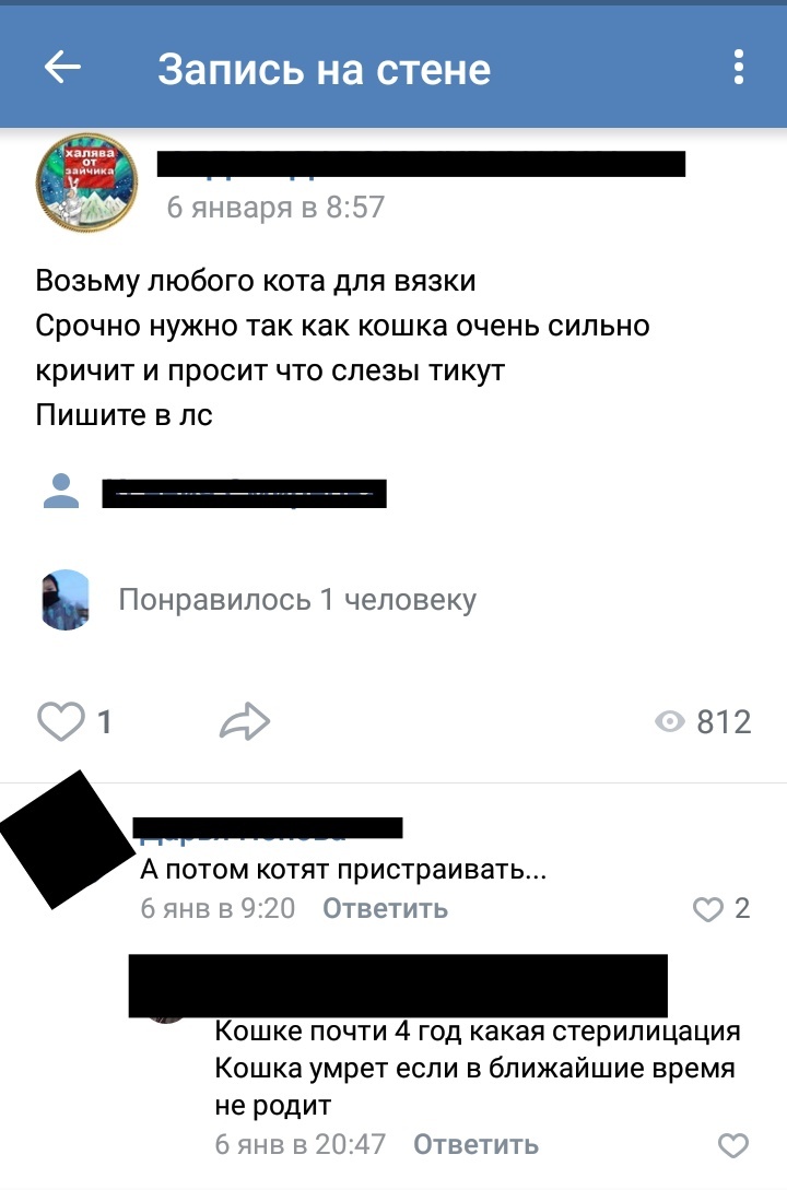 Откуда берутся герои постовкак я нашел котенка - Животные, Кот, Котята, Длиннопост