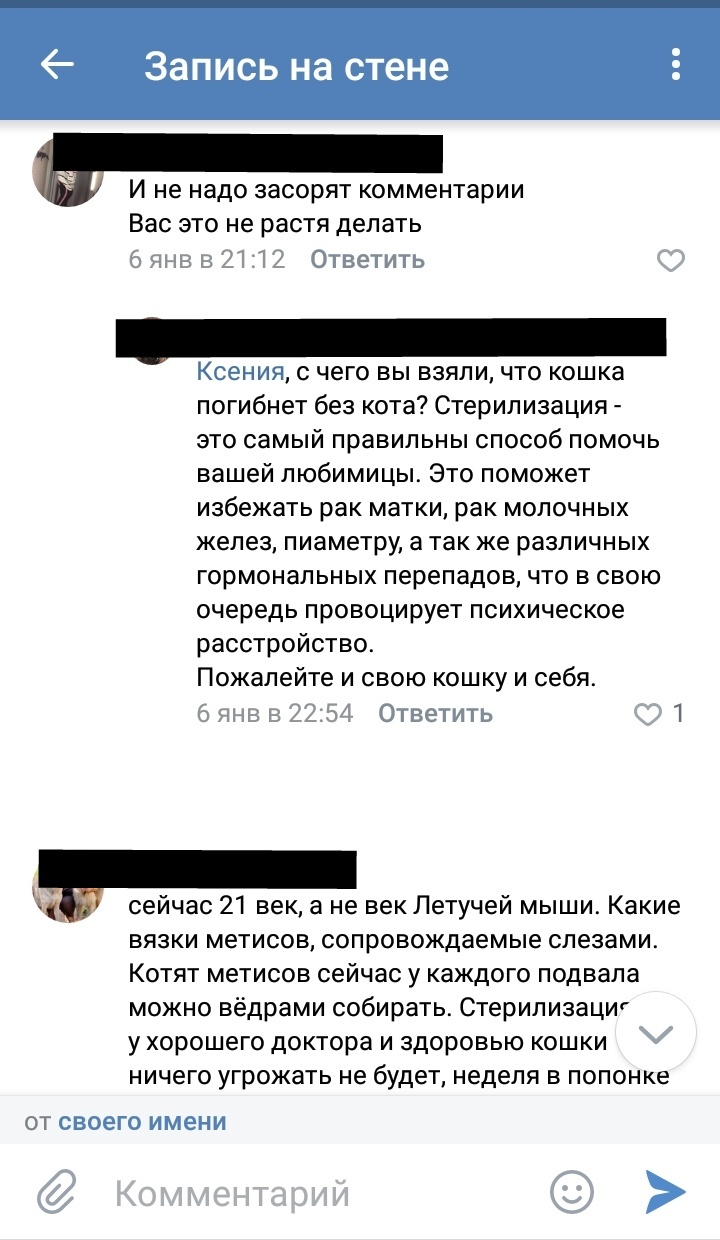 Откуда берутся герои постовкак я нашел котенка - Животные, Кот, Котята, Длиннопост