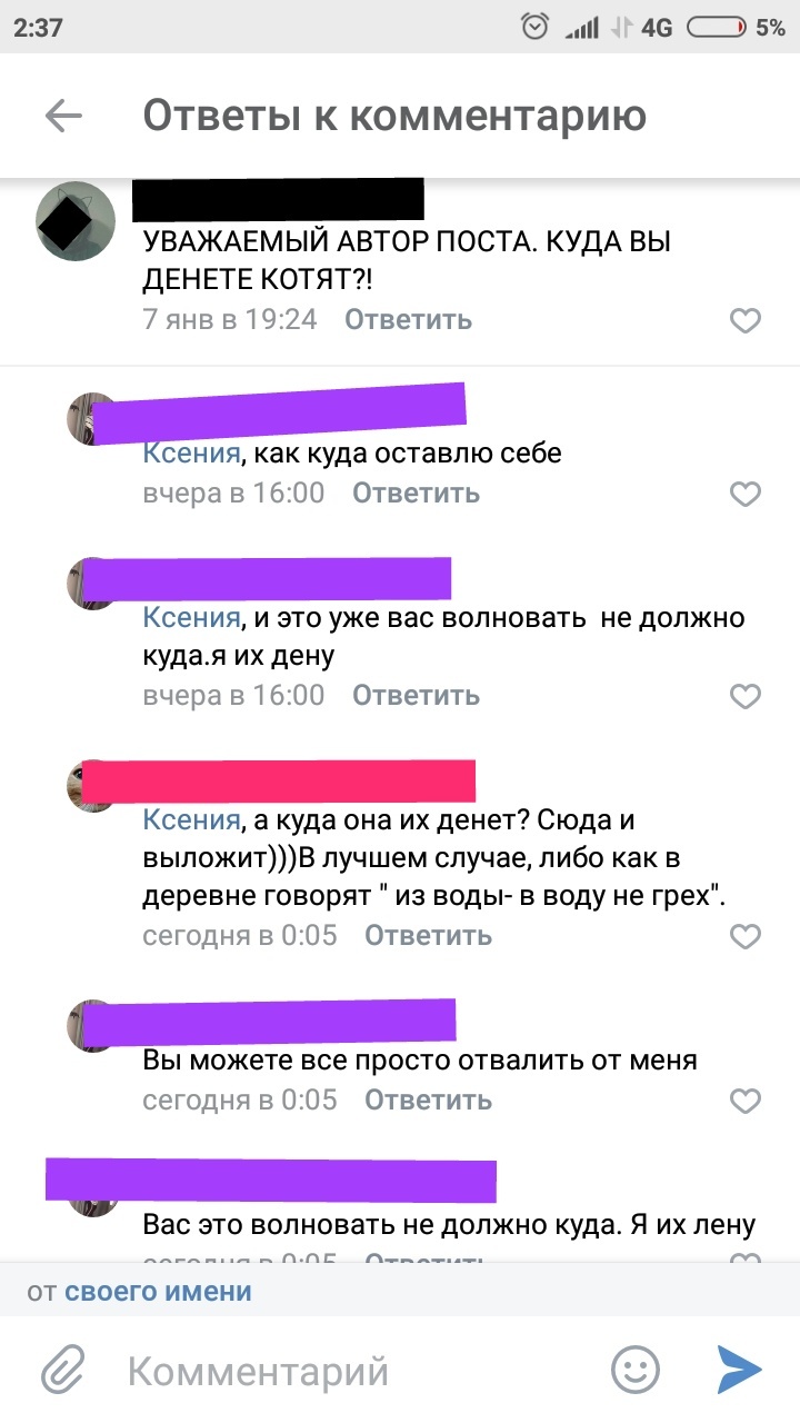 Откуда берутся герои постовкак я нашел котенка - Животные, Кот, Котята, Длиннопост