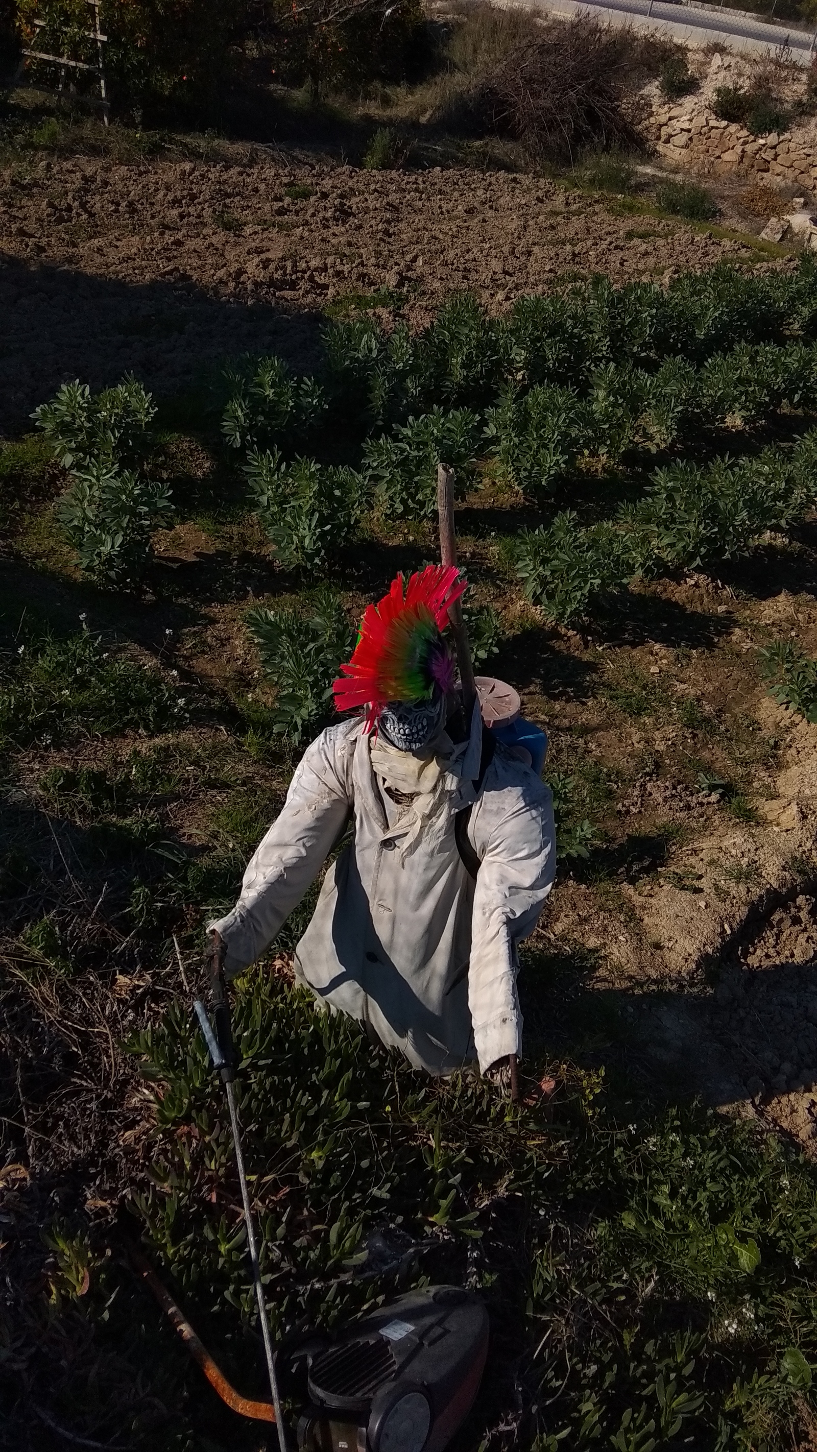 Here is such a garden, at the neighbor's old woman. Archena, Spain - My, Scarecrow, Punk rock, Spain, Longpost