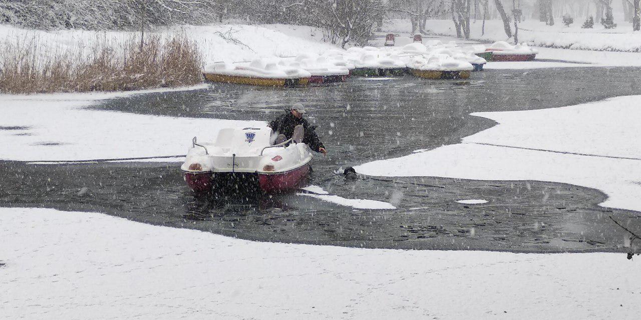 In Simferopol, a man rescued a dog that had fallen through the ice. - Animal Rescue, Dog