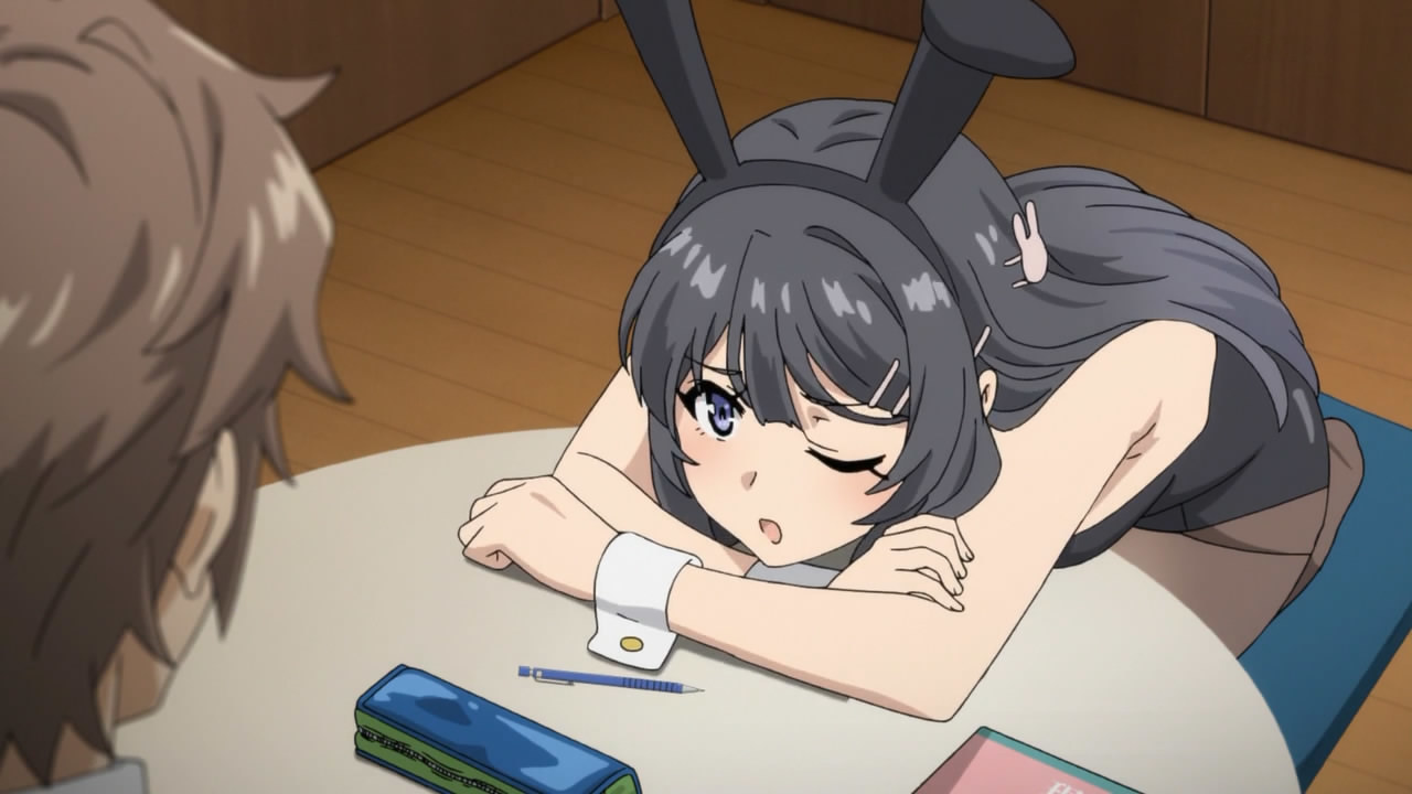Romantic Quantum Physics. Anime That Stupid Pig Doesn't Understand Bunny Girl's Dream - My, Anime, Review, Magical realism, Rascal Does Not Dream of Bunny, Longpost