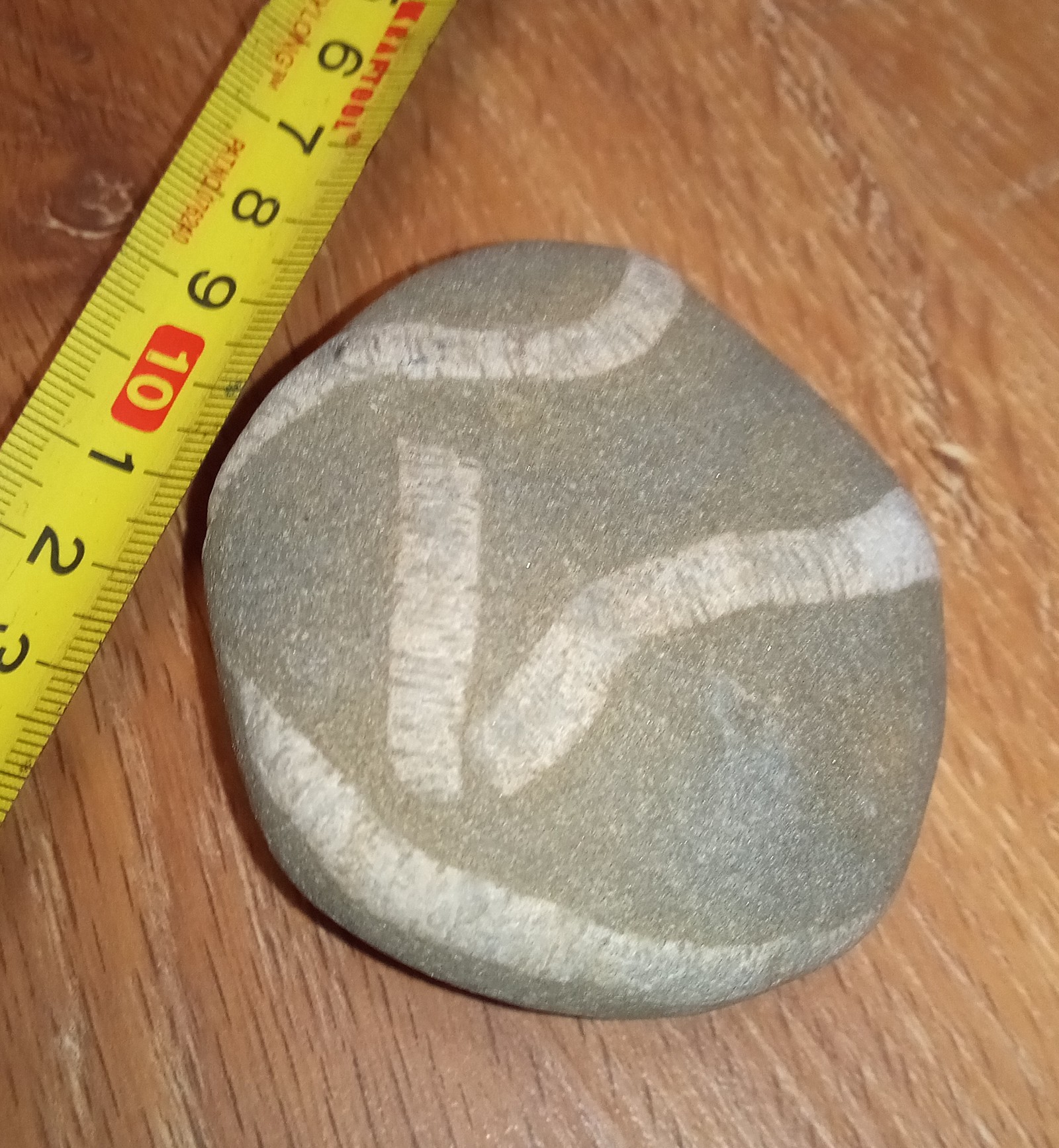 Help identify, please! - My, Paleontology, Fossil, A rock, Minerals, Baltic Sea, What's this?, Longpost