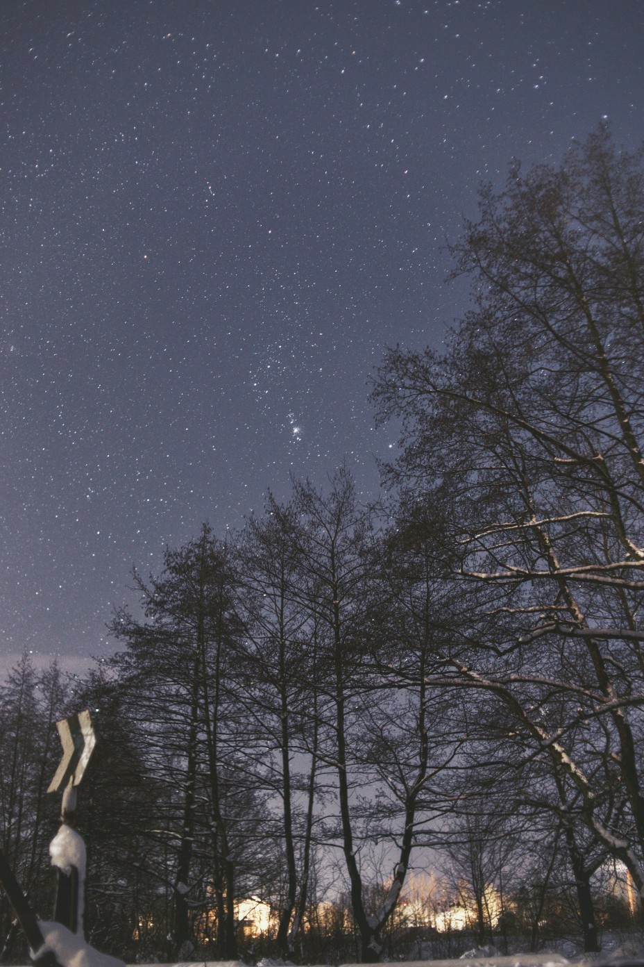 Orion Nebula and Winter Silence - Space, The photo, Astronomy, Winter, Forest, Walk, Longpost