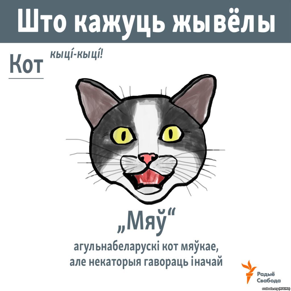 Смех продлевает жизнь!) - Кот, Интересное, Длиннопост