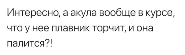 Как- то так 294... - Форум, Скриншот, Подборка, ВКонтакте, Вопрос, Чушь, Как-То так, Staruxa111, Длиннопост