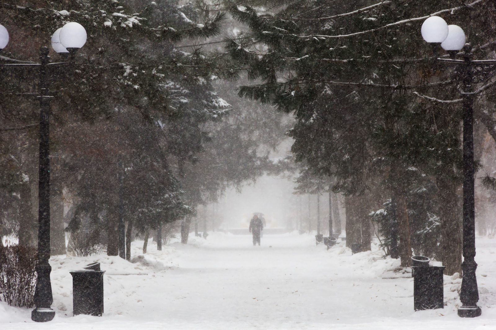 When you can't see anything because of the snow: - My, The photo, Hobby, Rostov-on-Don, Canon 60d, Snow, Longpost