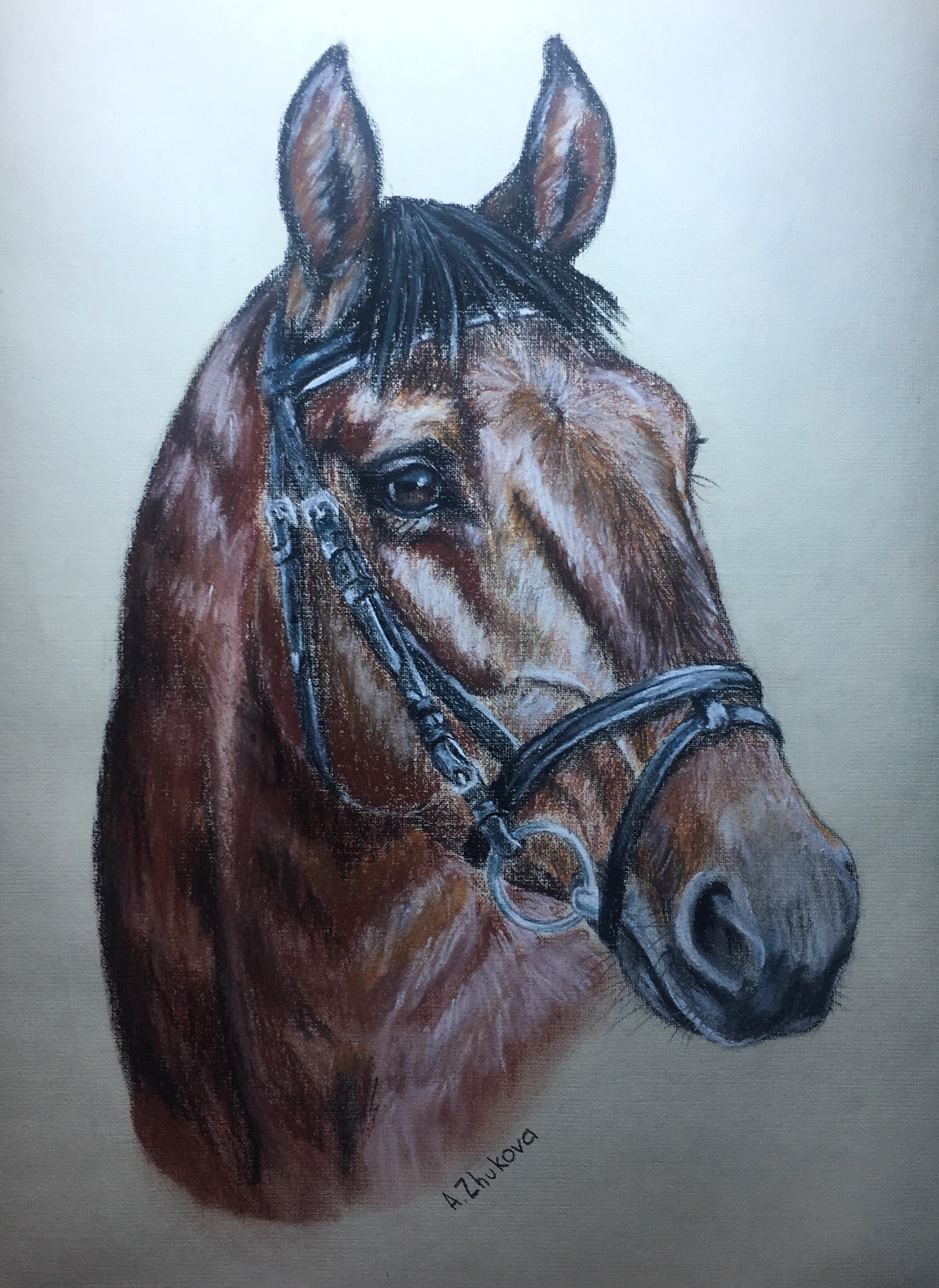 Horse portraits. - My, Horse, Horses, Pastel, Drawing, Longpost