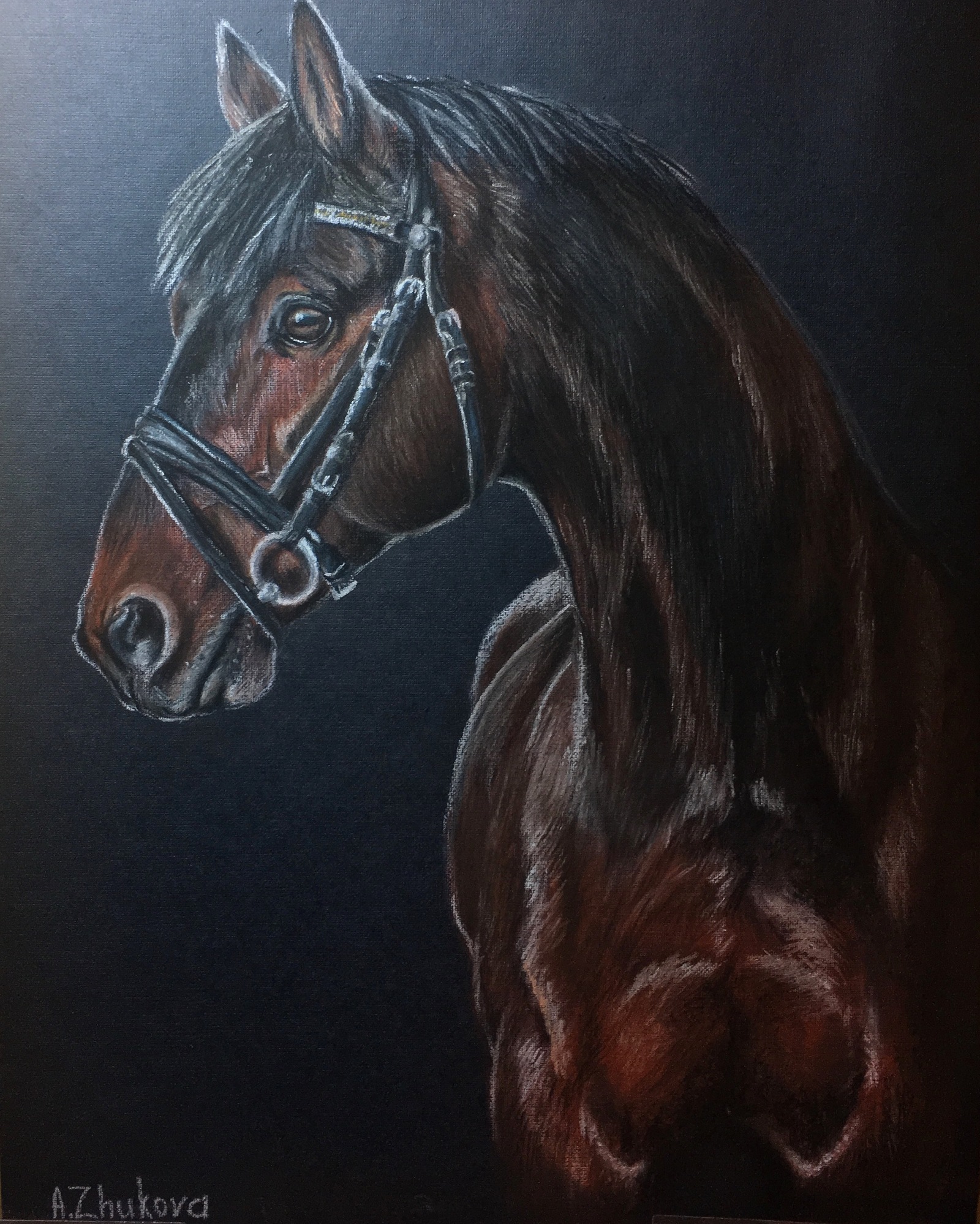 Horse portraits. - My, Horse, Horses, Pastel, Drawing, Longpost