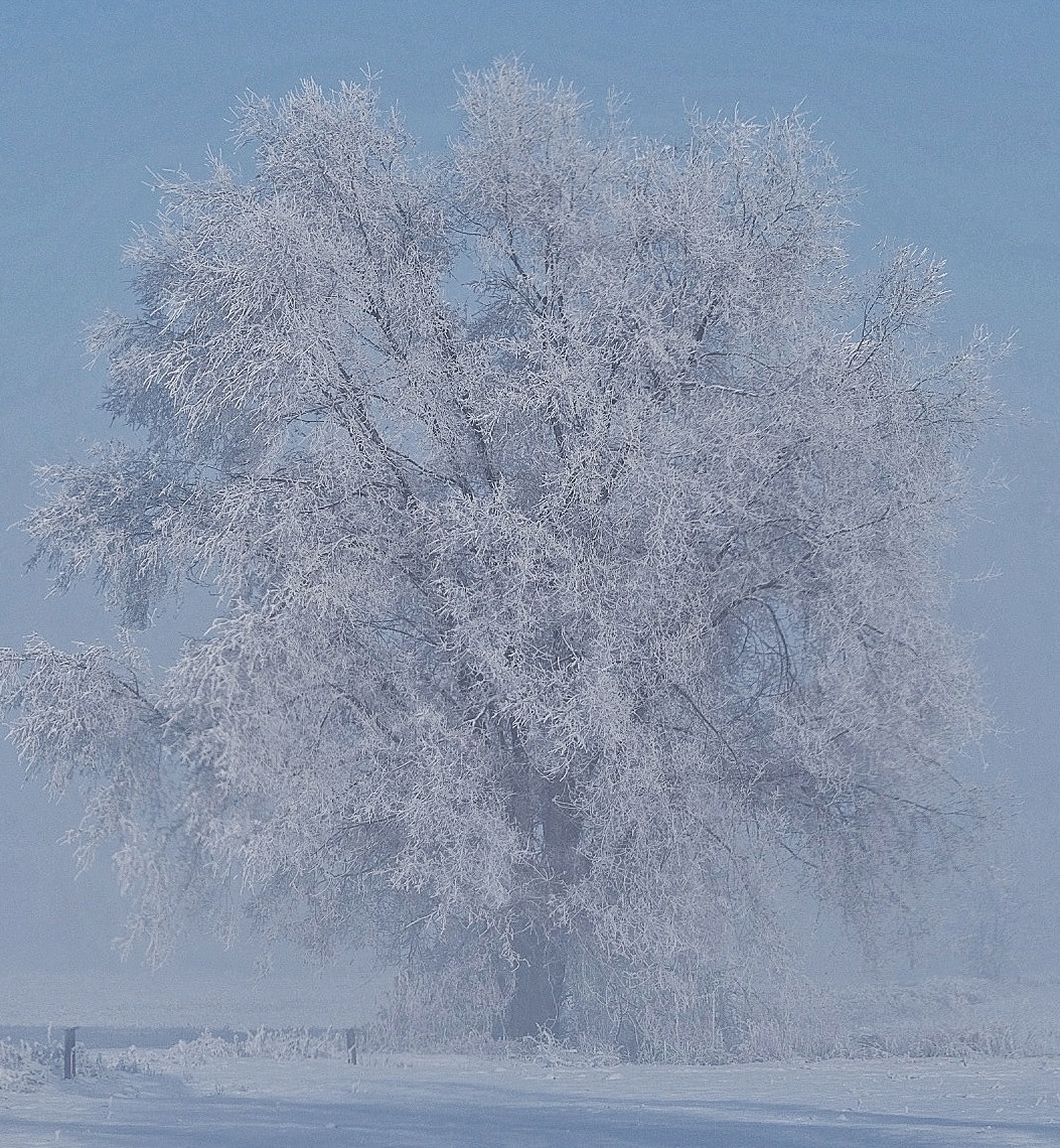 Frosty morning - My, Nature, Almaty Oblast, Longpost