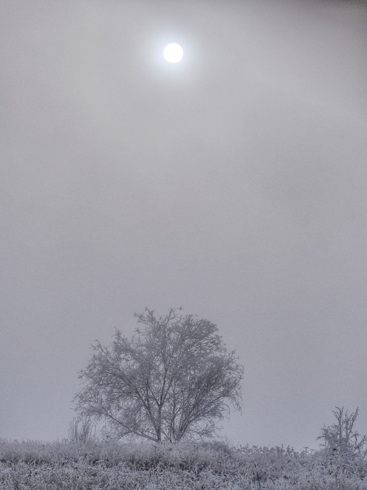 Frosty morning - My, Nature, Almaty Oblast, Longpost