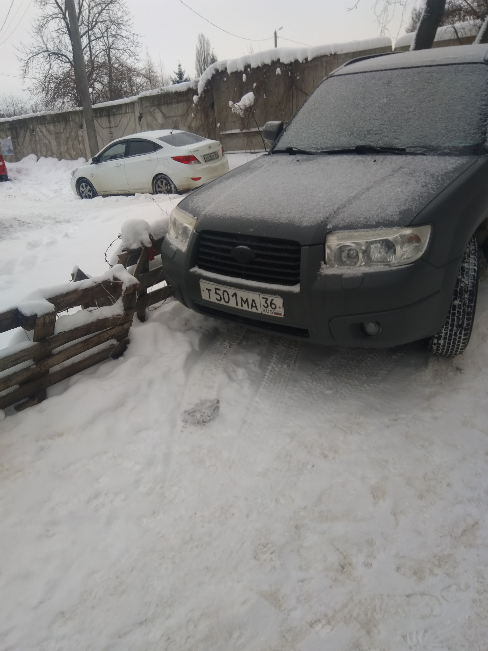 Spontaneous parking in the protected natural area of ??the park - My, Неправильная парковка, Freaks, Longpost