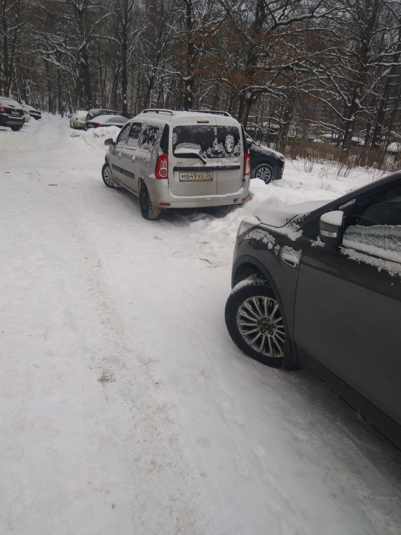 Spontaneous parking in the protected natural area of ??the park - My, Неправильная парковка, Freaks, Longpost