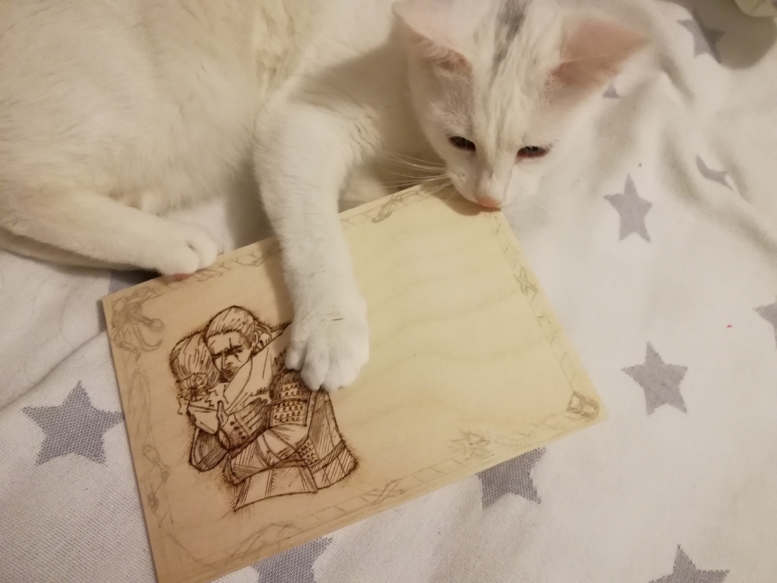 Sign on the door - The Witcher - My, Needlework with process, Pyrography, Witcher, Табличка, Door, Longpost