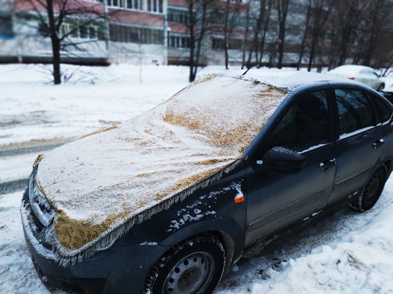 Aladdin's car - My, Magic carpet, Car, Humor