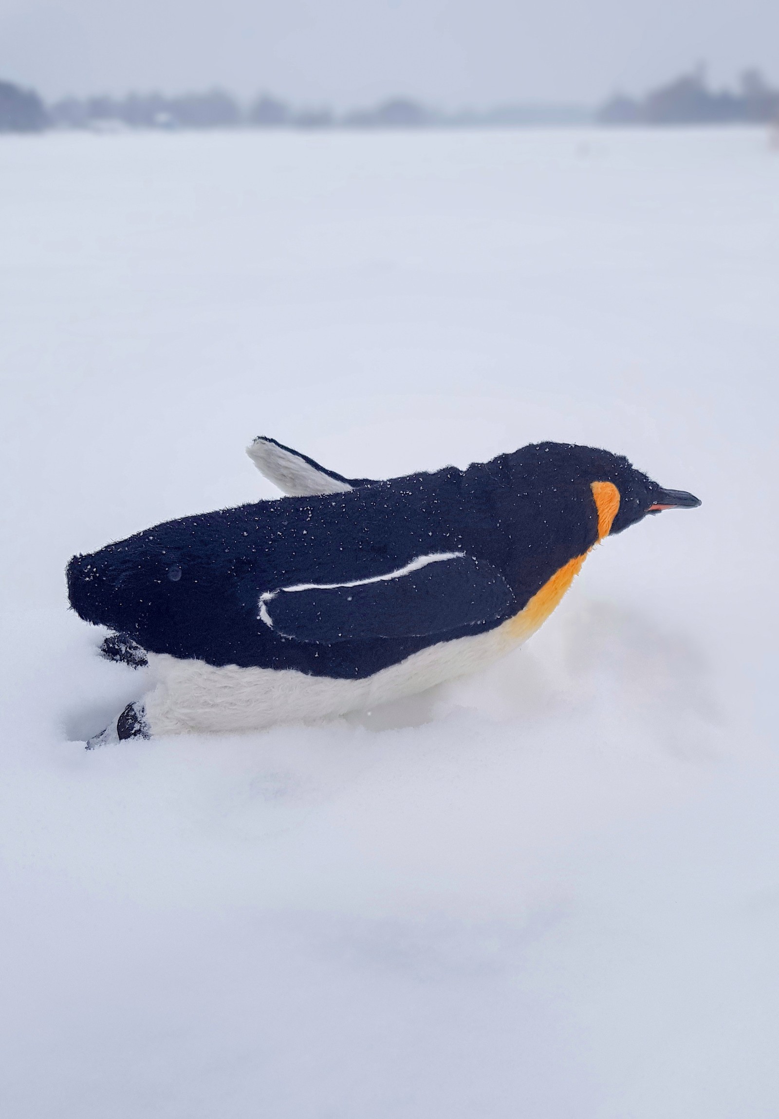 Penguin - My, Penguins, Author's toy, Handmade, Longpost, Needlework without process, Toys, wildlife