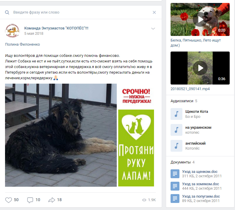 Benjamin is looking for a home - No rating, Dog, In good hands, Help, Taganrog, Homeless animals, Video, Longpost, Helping animals