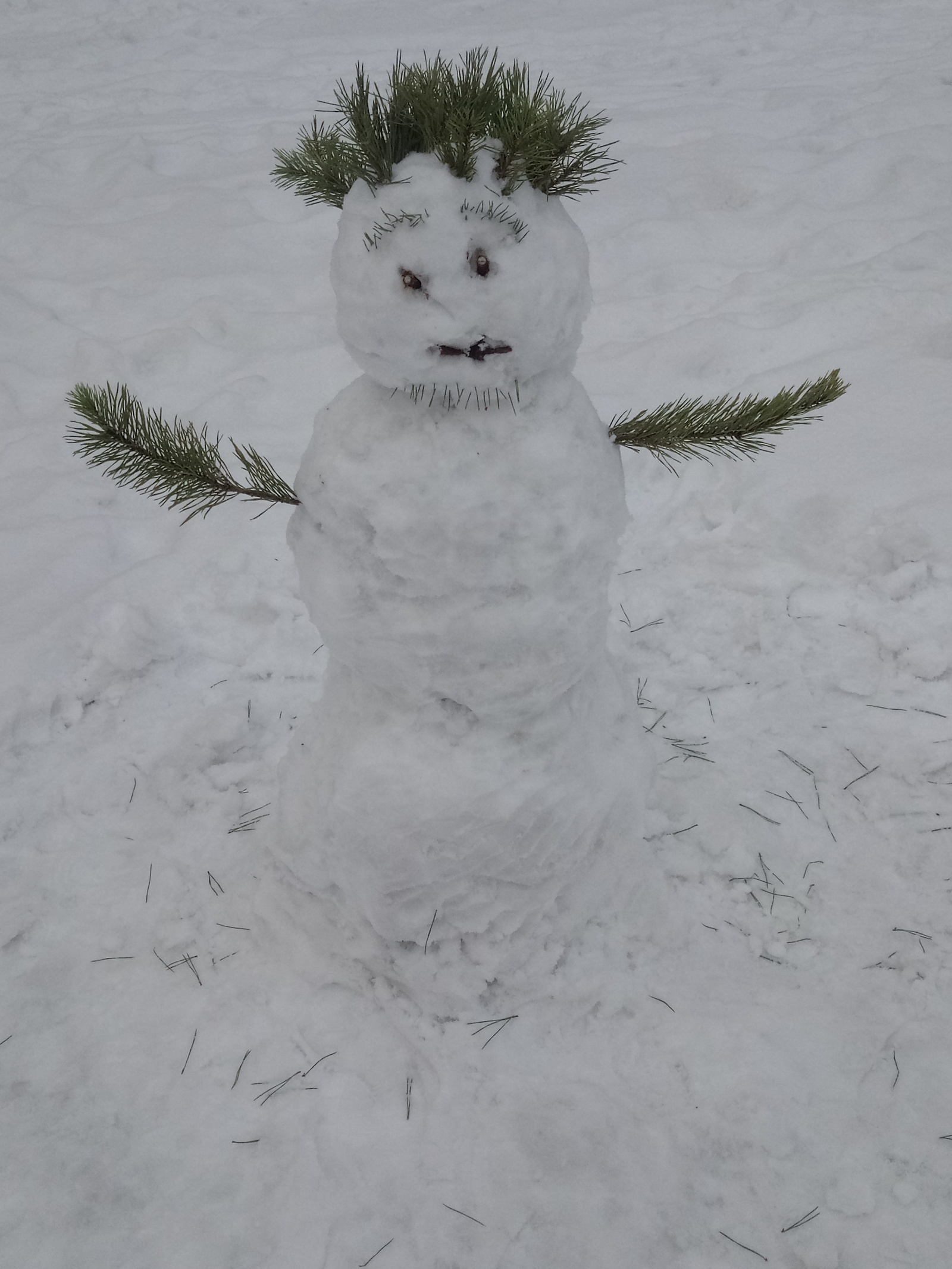 Winter fun! - My, Winter, snowman, Longpost