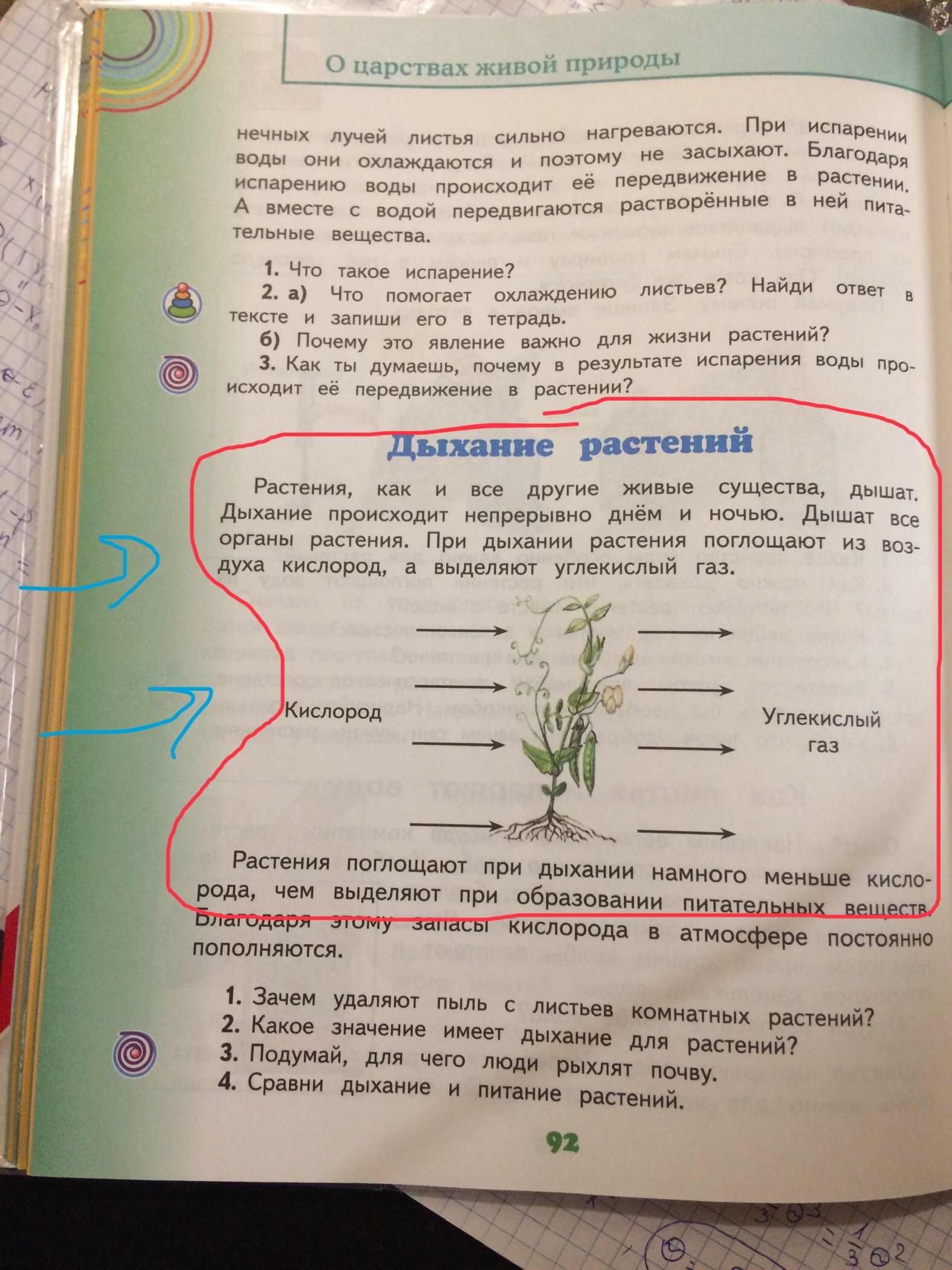 School doesn't teach bad things - My, Textbook, Oxygen, Carbon, Plants