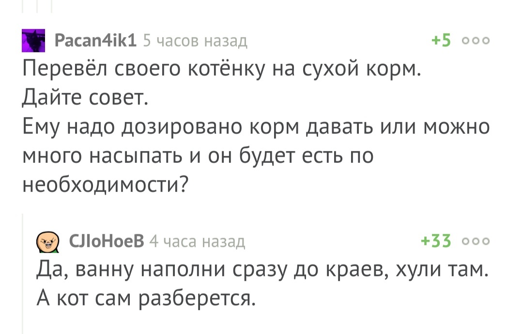 Как правильно кормить кота - Комментарии, Кот, Корм для животных, Комментарии на Пикабу, Скриншот