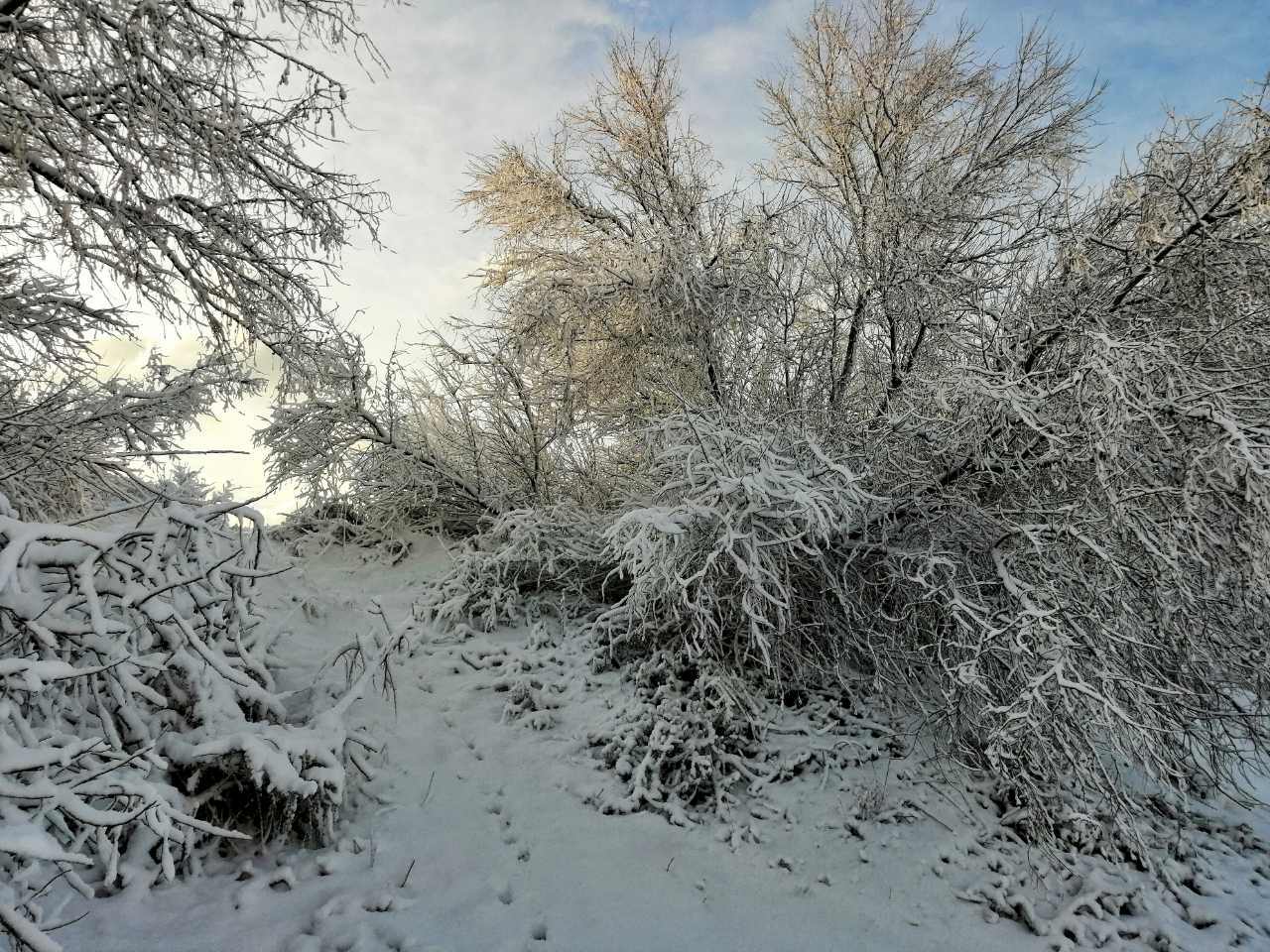 Анапа. Январь 2019 | Пикабу