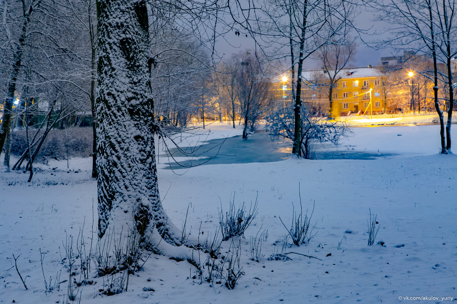 Winter sketches - My, Winter, The photo, Kaliningrad, Longpost