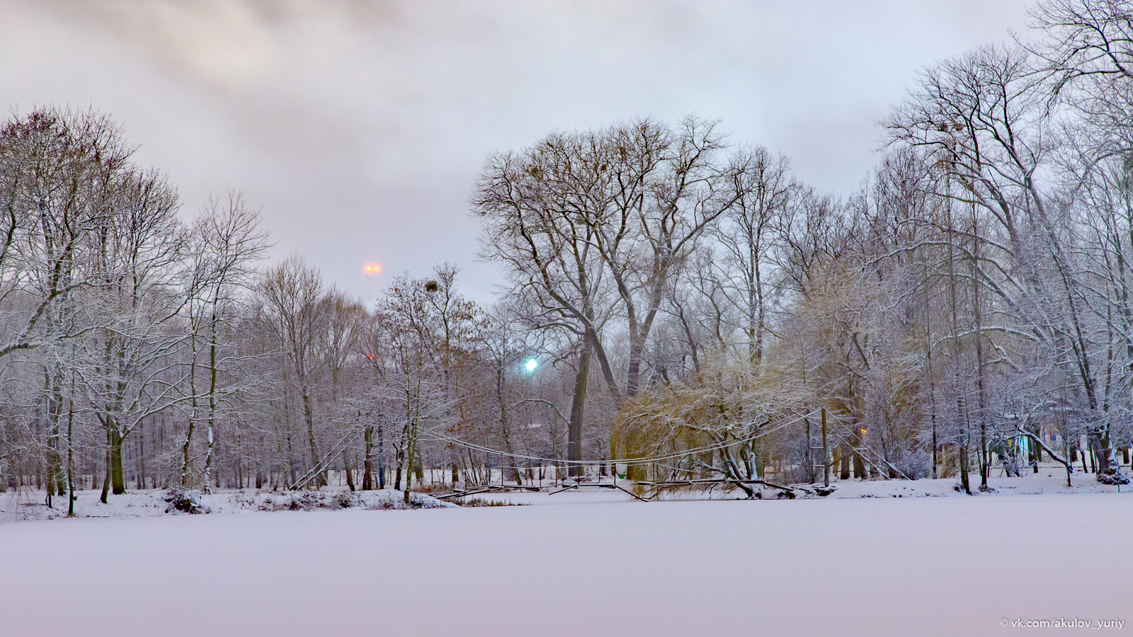 Winter sketches - My, Winter, The photo, Kaliningrad, Longpost