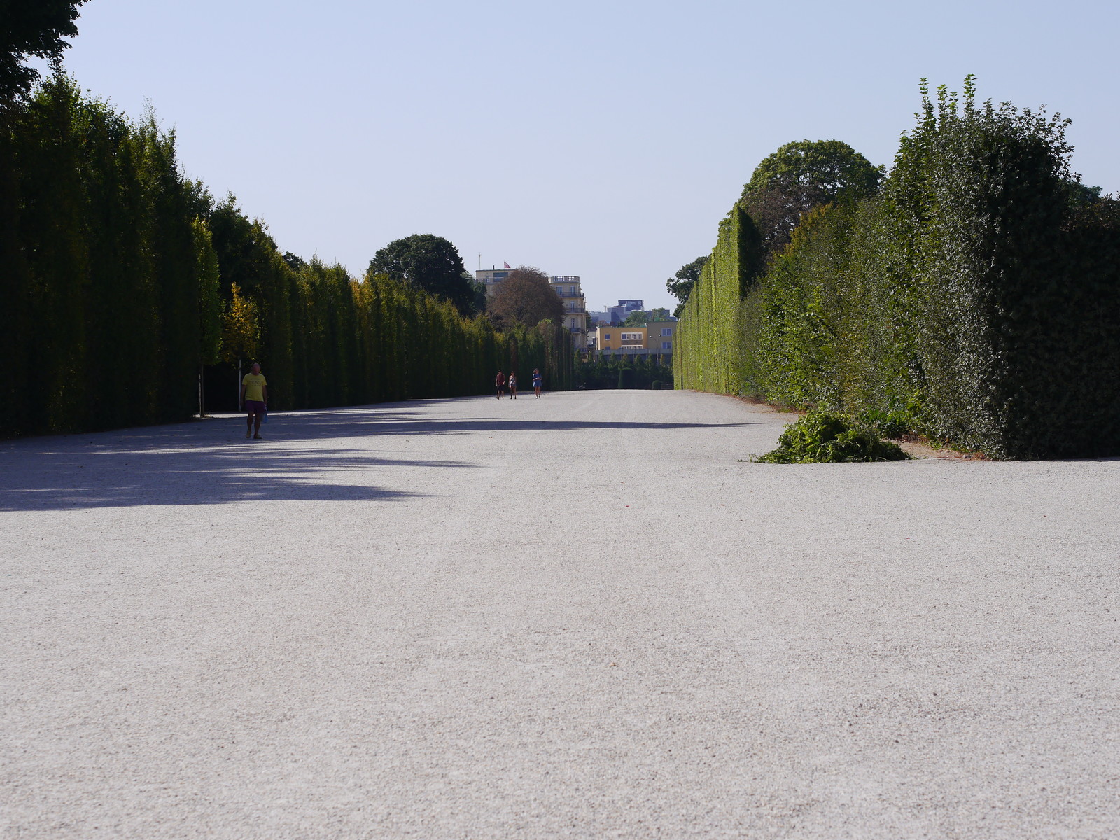 Schonbrunn-dacha of emperors. - My, Vein, SchГ¶nbrunn, Longpost