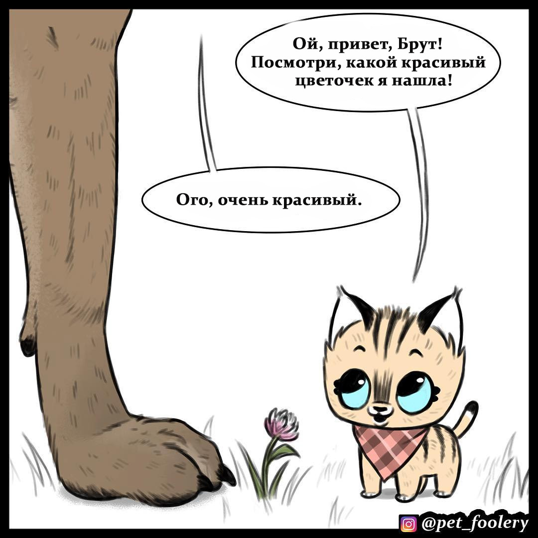 Красивый цветочек - Pet Foolery, Комиксы, Брут и Пикси, Милота, Перевел сам, Длиннопост