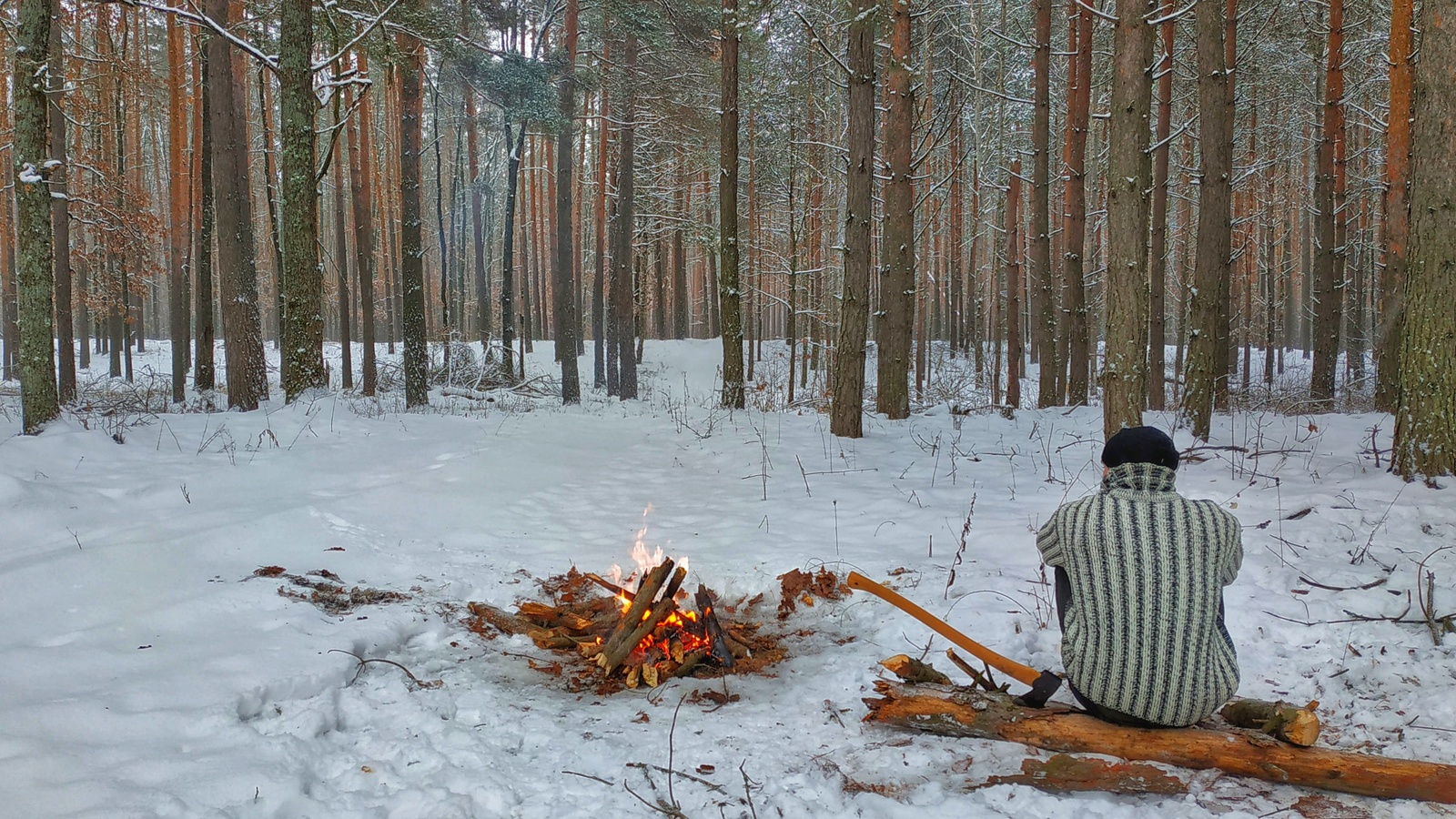 A warm sweater - My, Bushcraft, Bonfire, PVD, Axe, Forest, Leisure