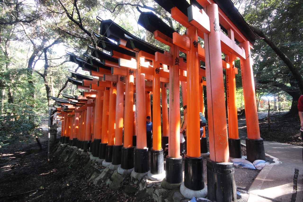 Fushimi Inari Shrine - My, Japan, Kyoto, Fushimi Inari, , Longpost