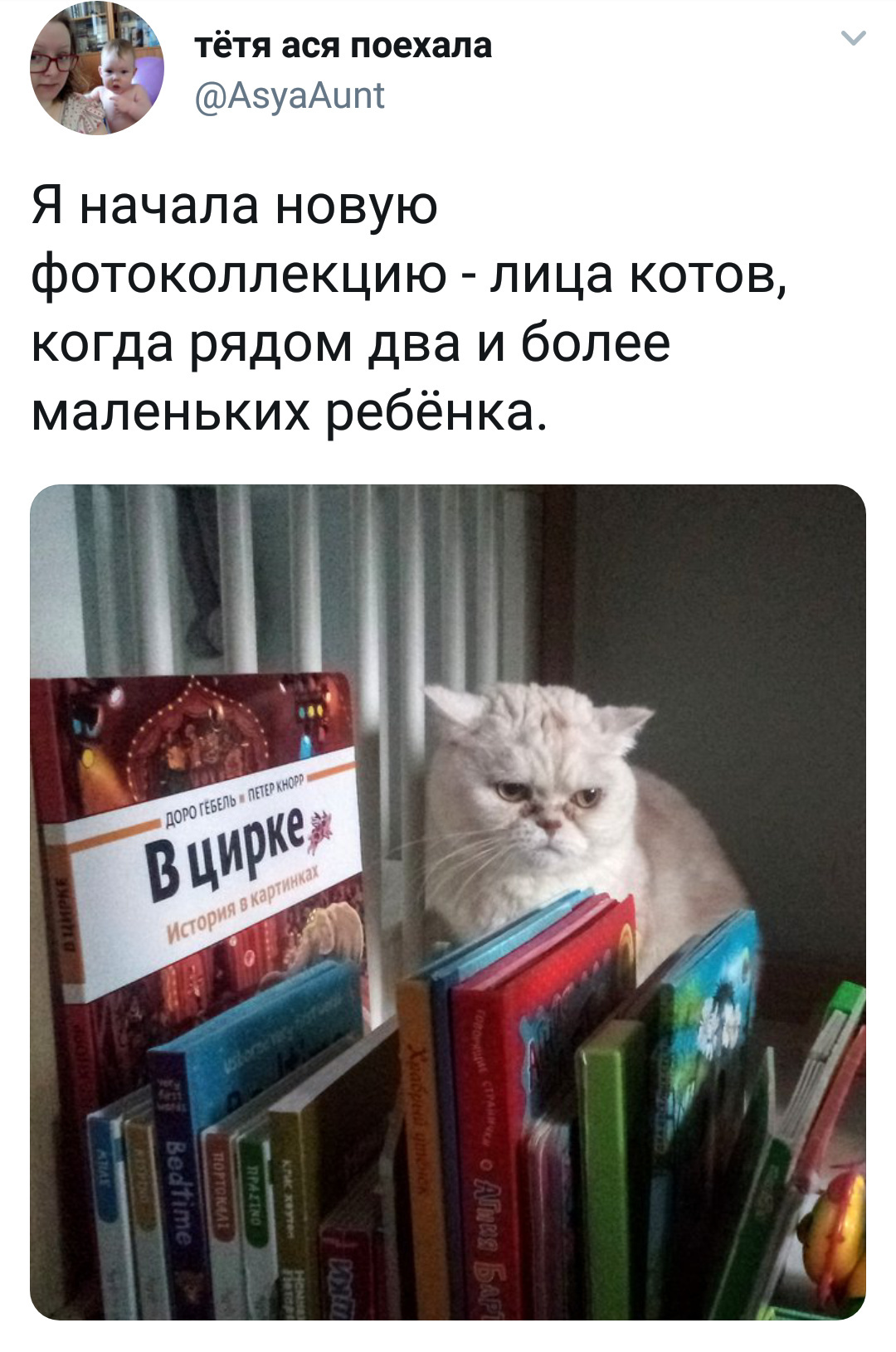 Коты и дети - Скриншот, Кот, Дети, Юмор, Twitter