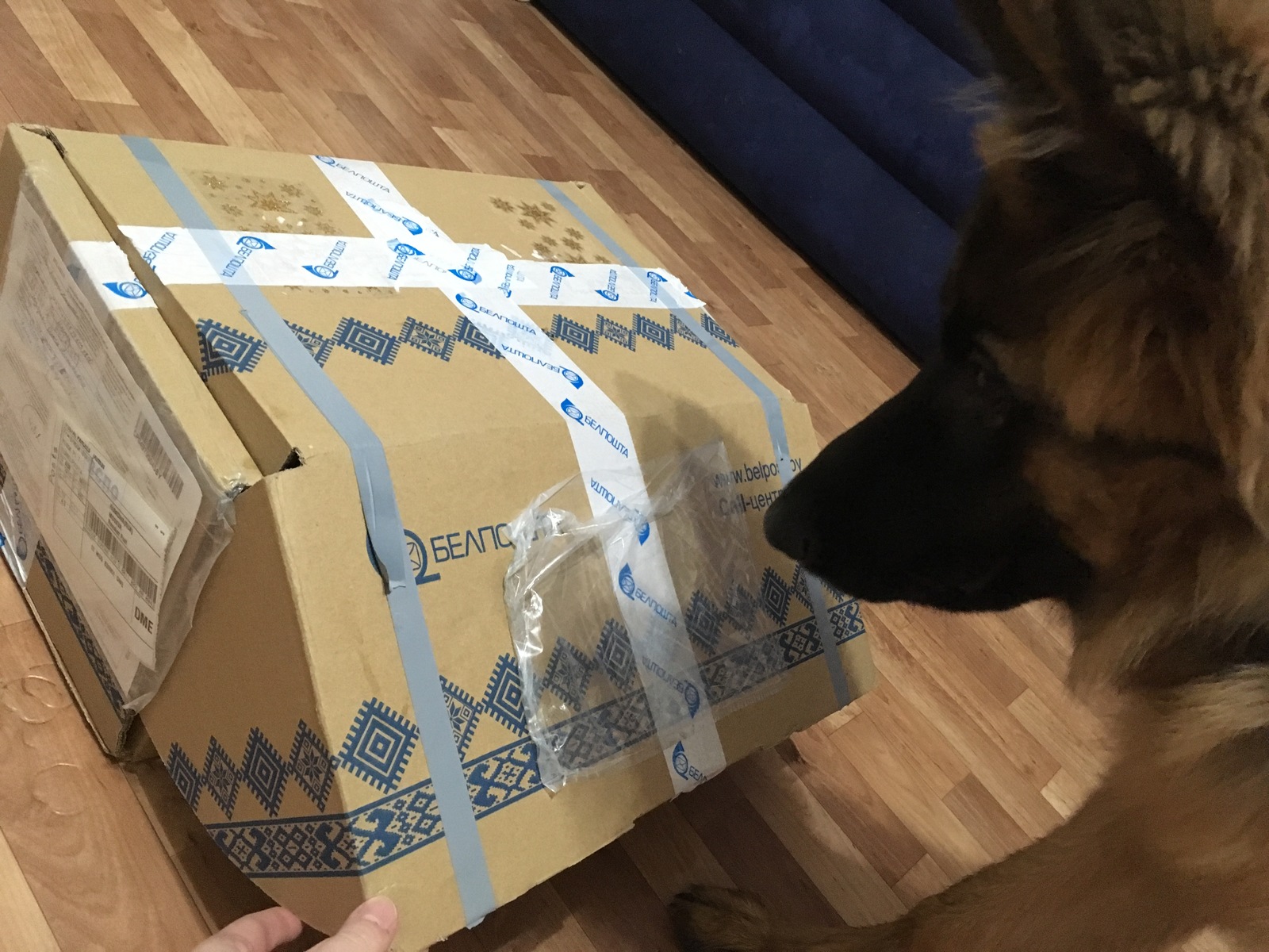 Unauthorized exchange from Bulbingham! - My, Gift exchange report, Longpost, Republic of Belarus, Secret Santa, Gift exchange