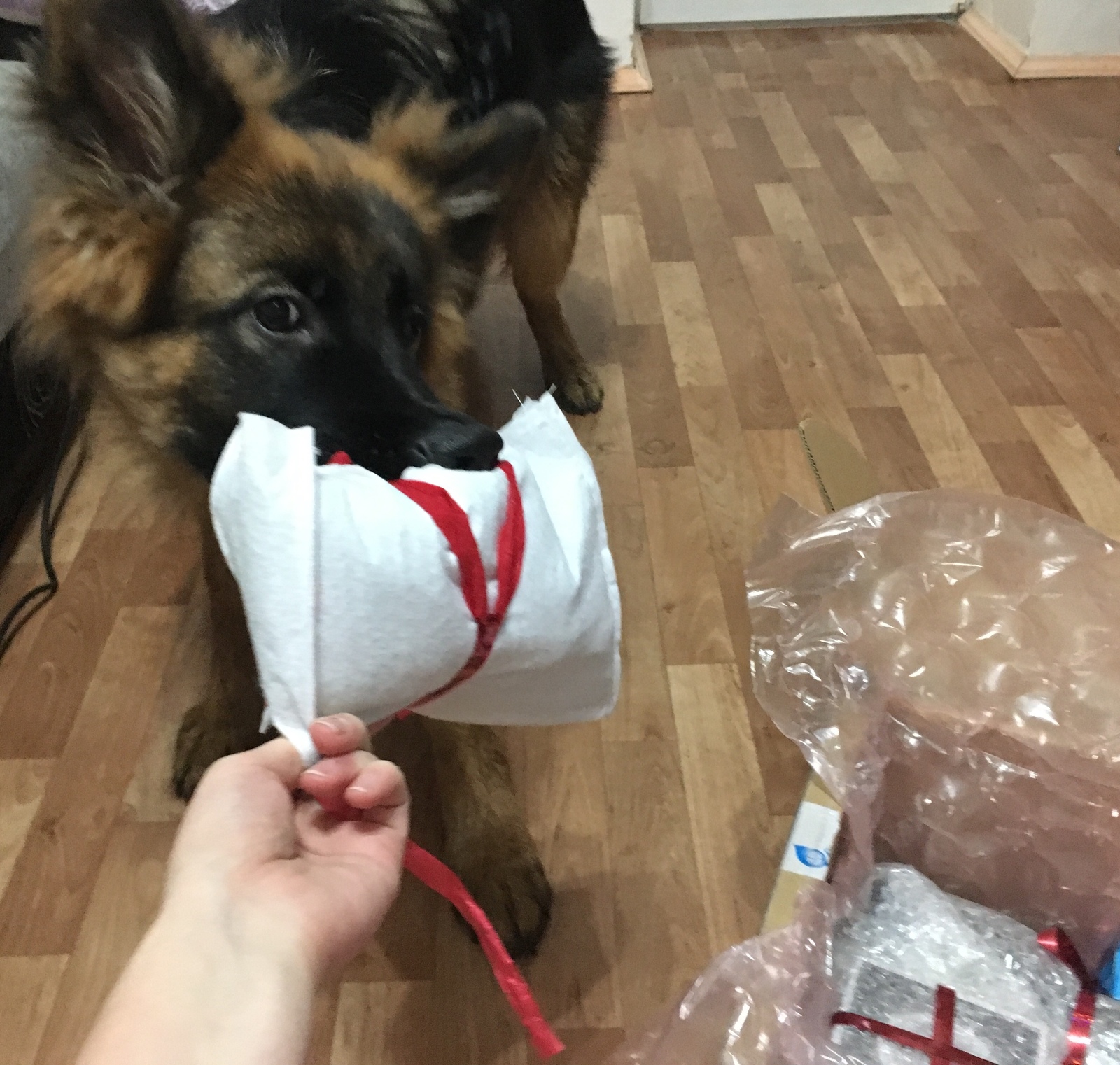 Unauthorized exchange from Bulbingham! - My, Gift exchange report, Longpost, Republic of Belarus, Secret Santa, Gift exchange