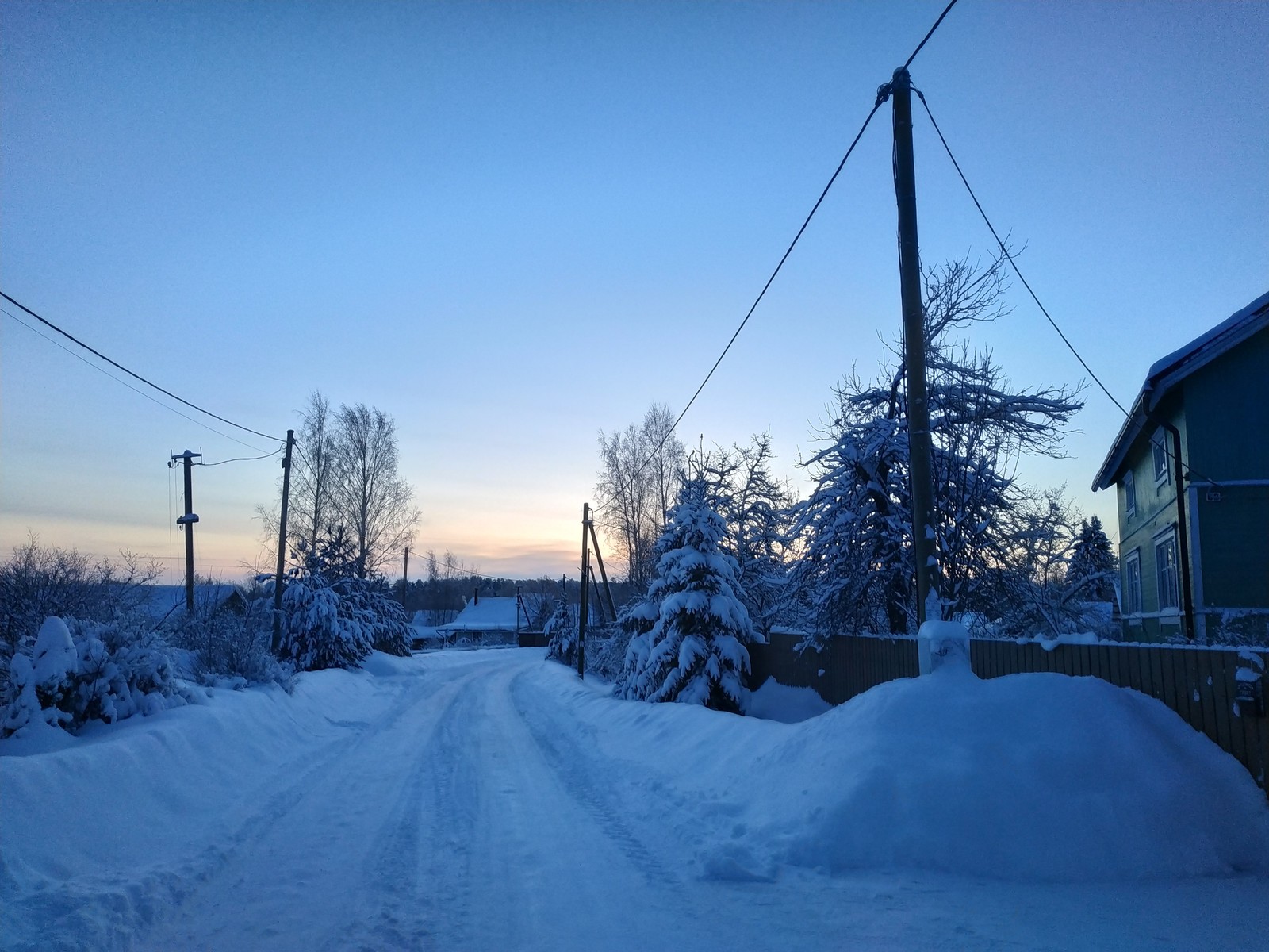 Frosty morning - My, The photo, Winter, freezing, cat, Morning, Longpost