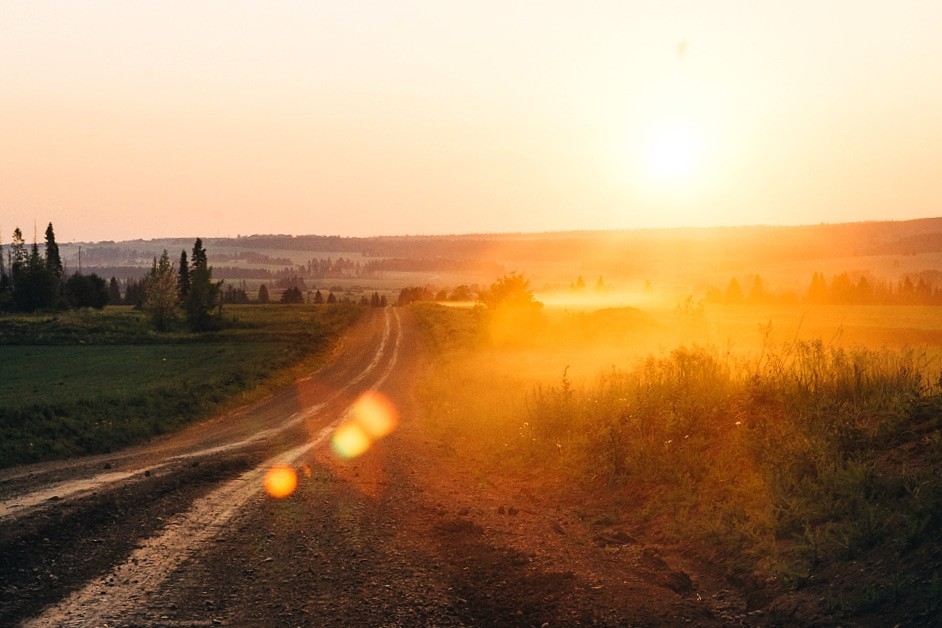 Summer - My, Beginning photographer, The photo, Nature, Longpost