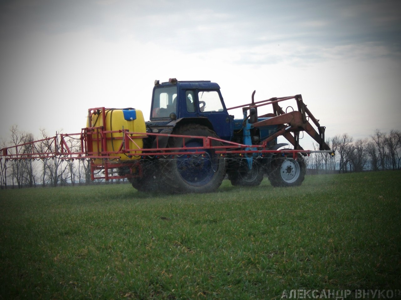 From germ to your table - My, Corn, Cleaning, Bread, Сельское хозяйство, , Longpost